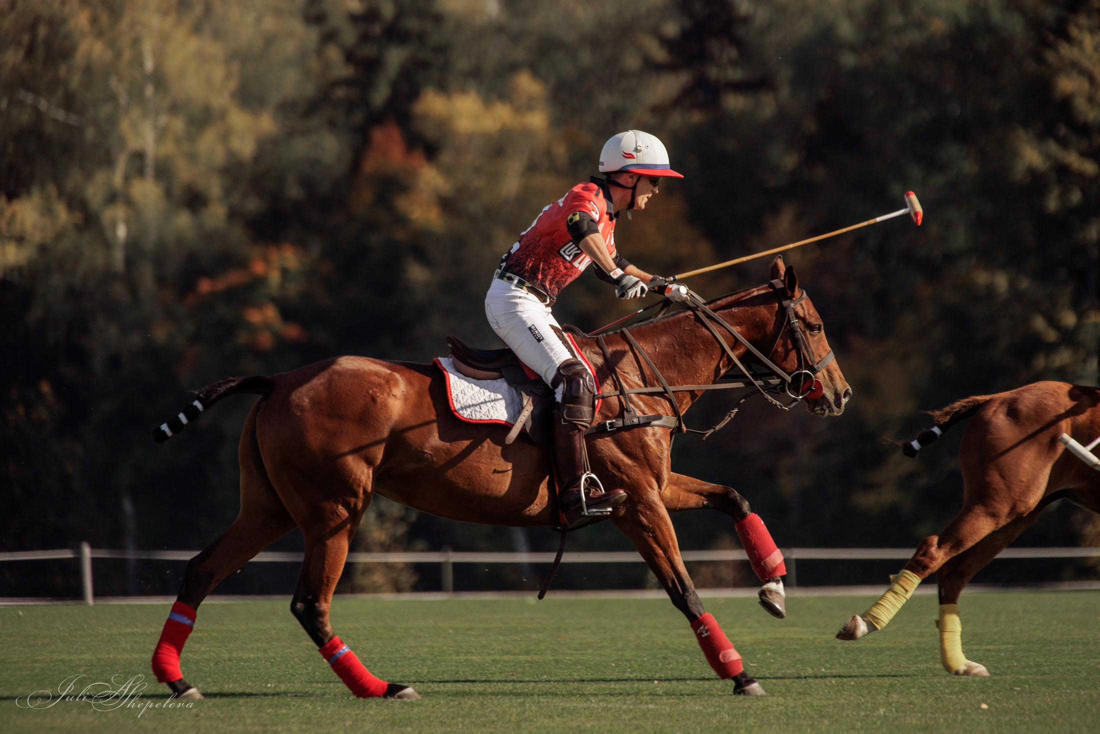 Осенний кубок по конному поло. Детская Конная фотография в Москве Юлия Шепелева