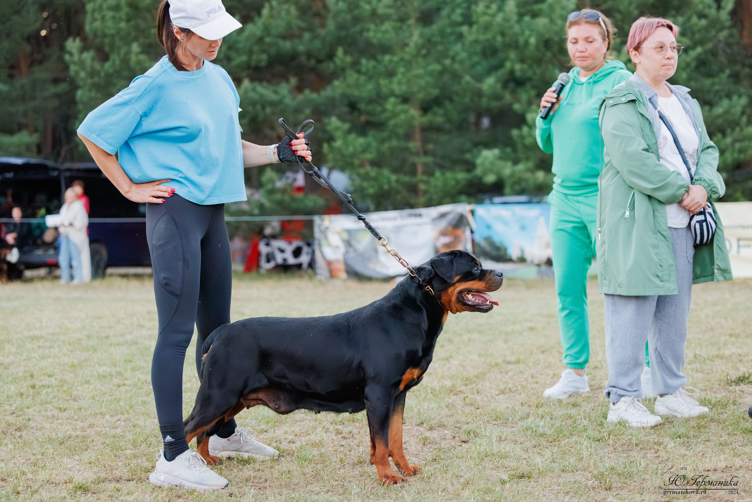 ПК и КЧК ротвейлеры Тверь 6-7.07.2024. Фотограф-анималист Юлия Германика