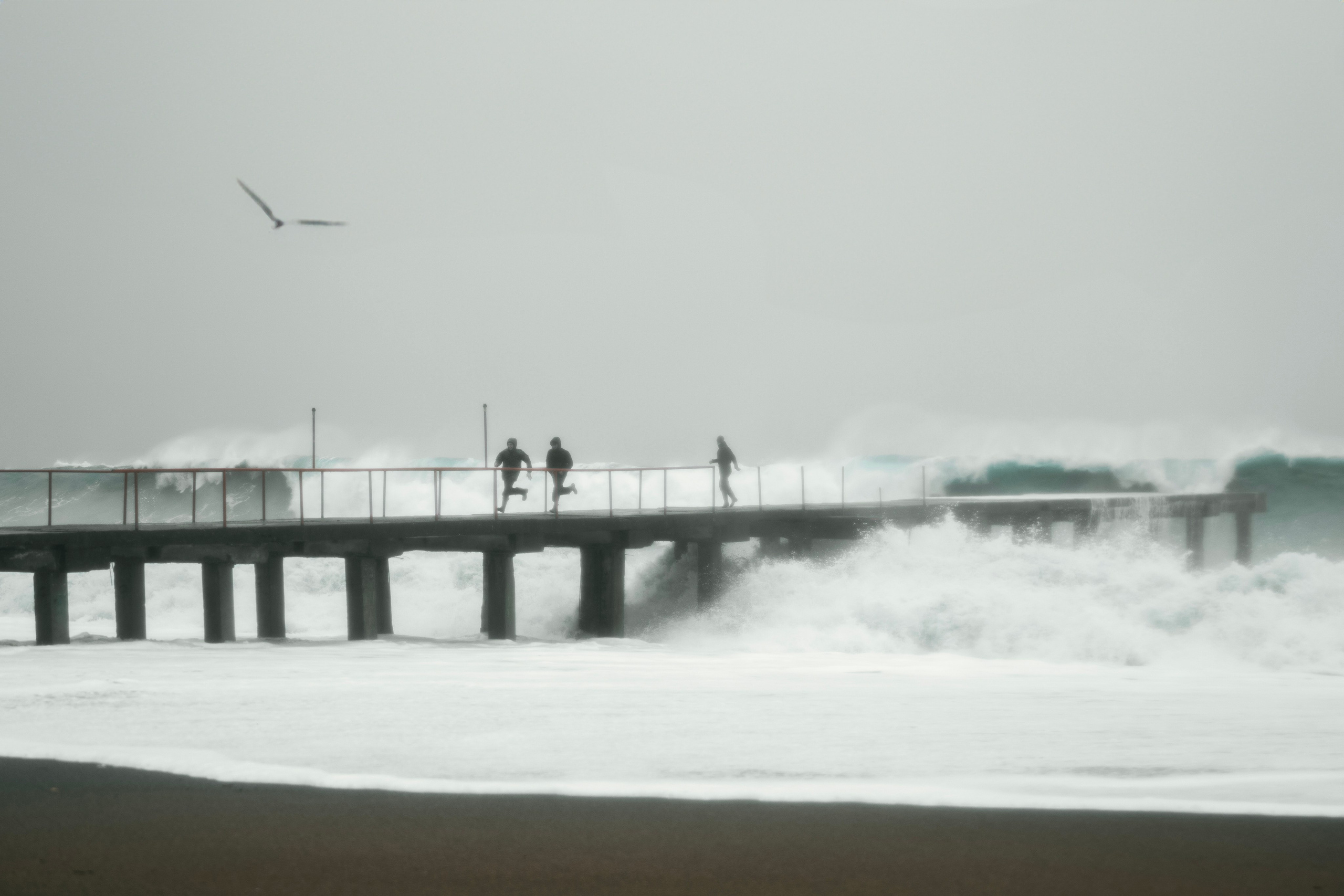 Заставки. Главная