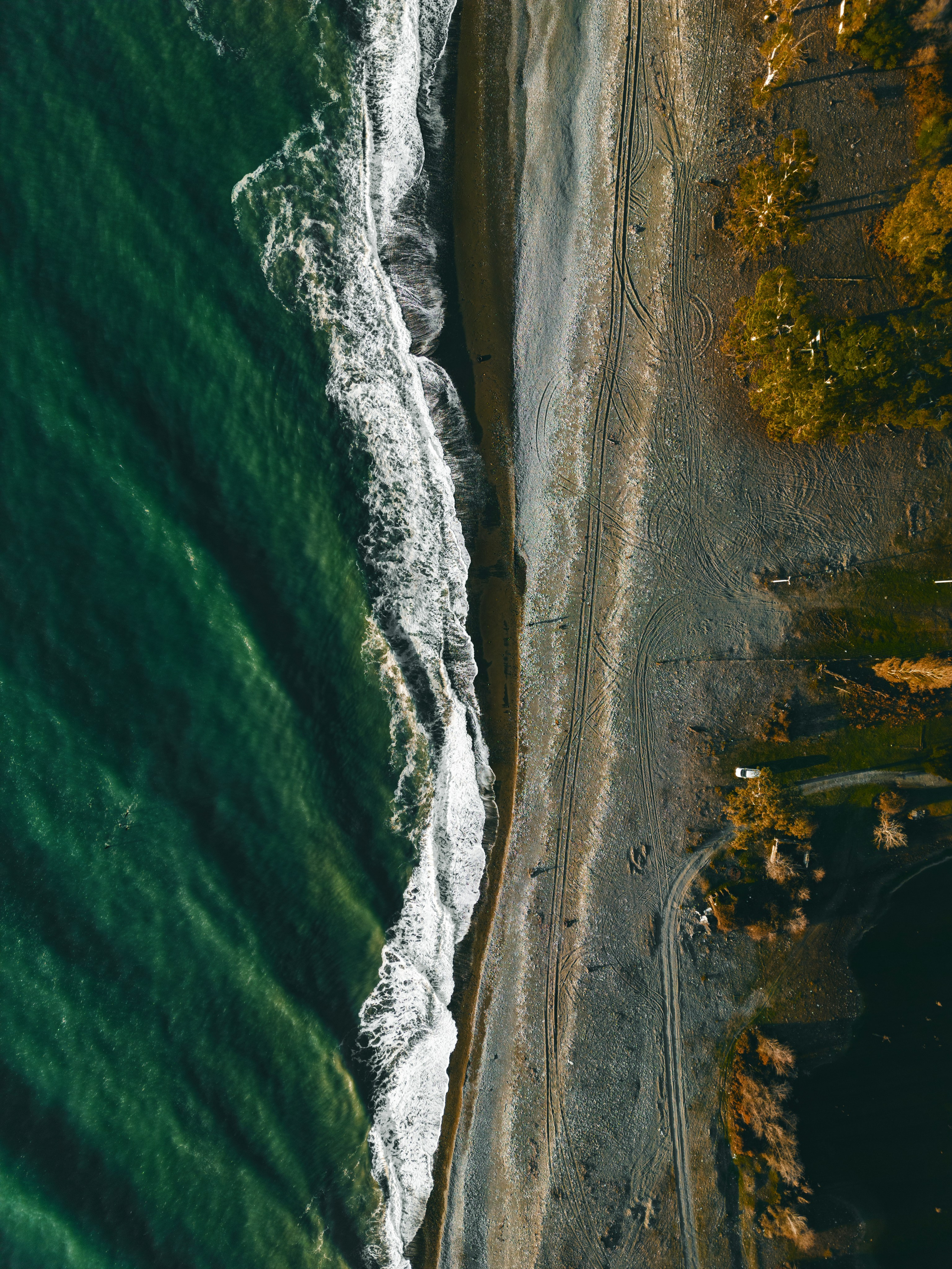Заставки. Главная