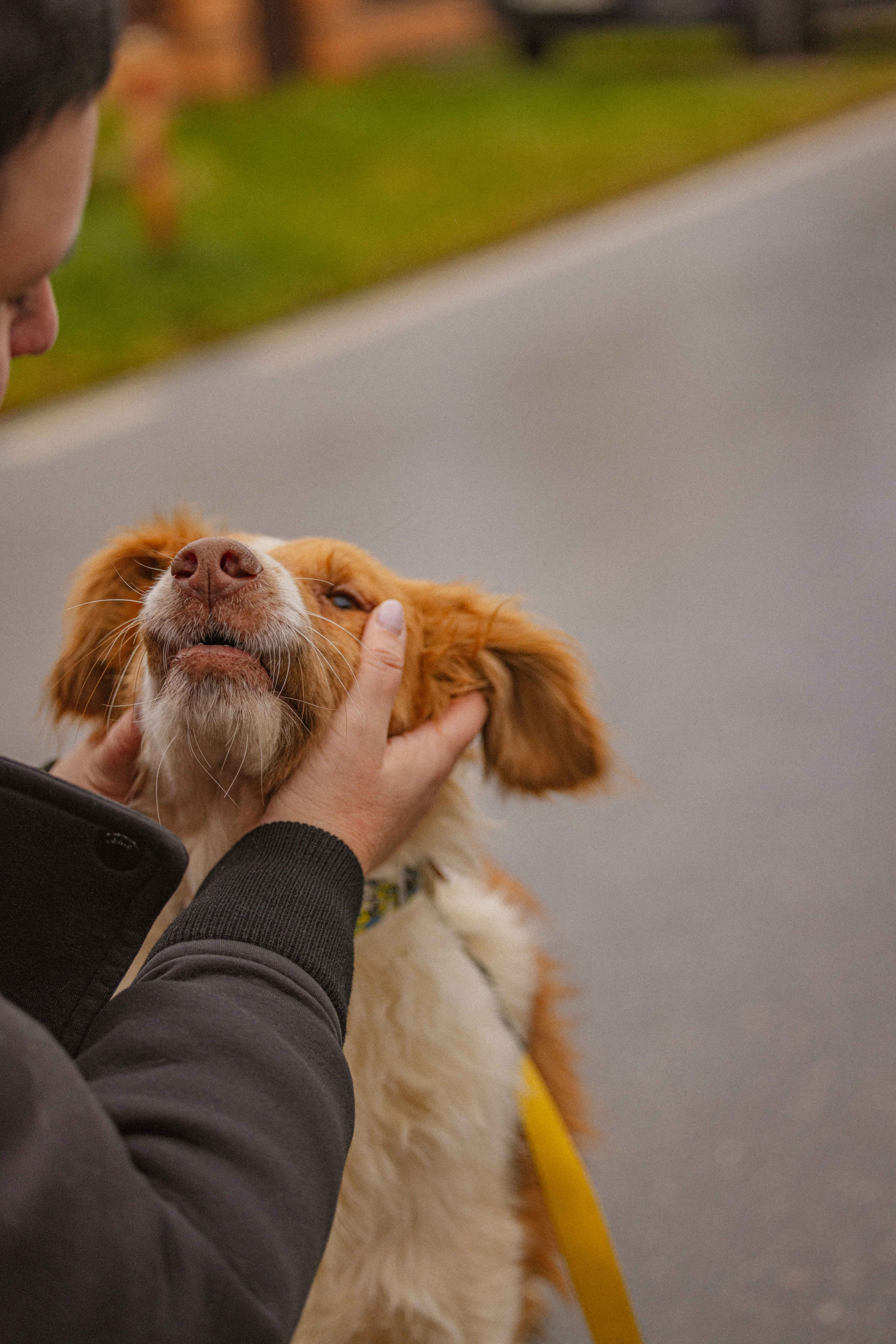 Передержка. Фотограф-анималист в Москве Лера Черноног