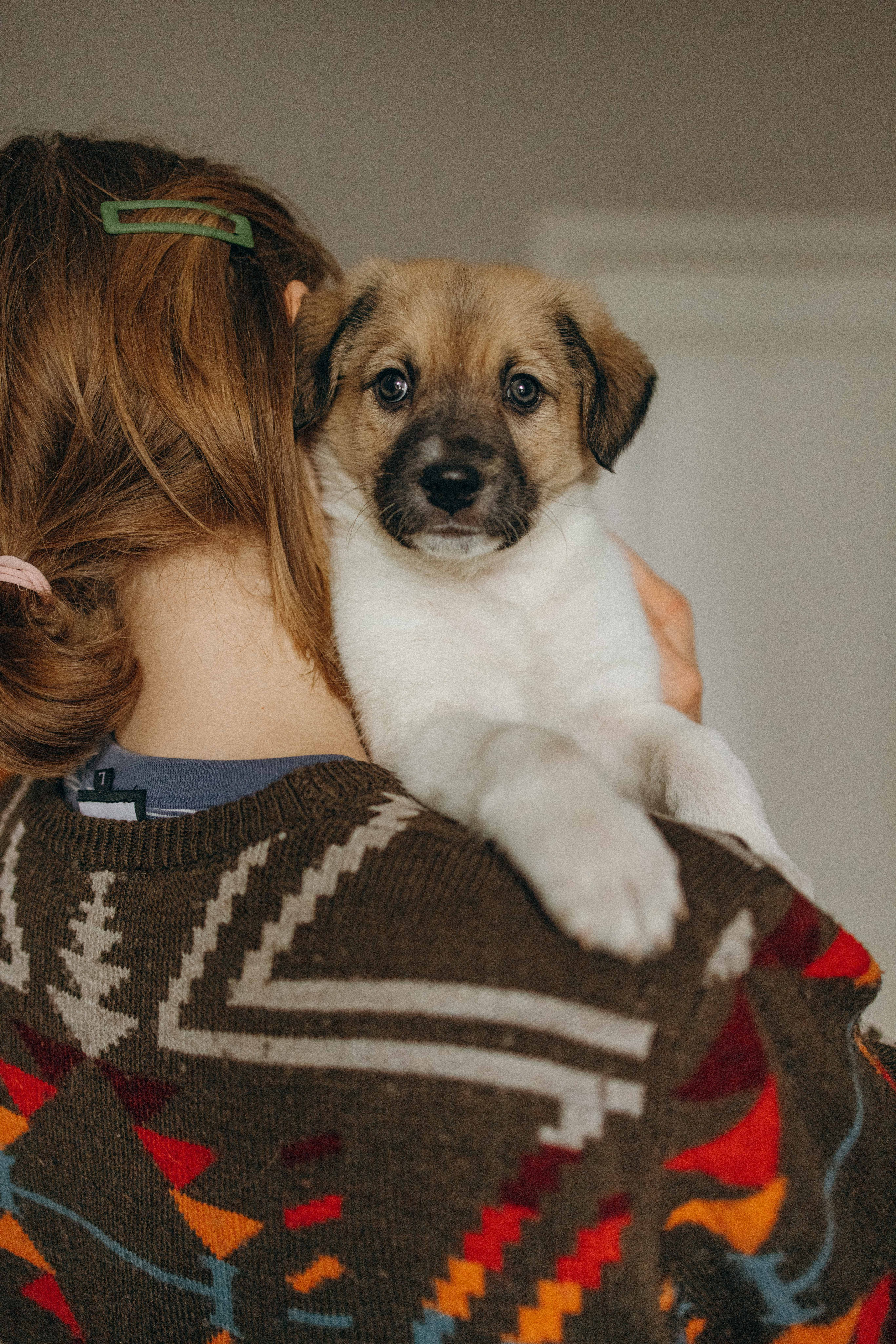 Щеночки. Фотограф-анималист в Москве Лера Черноног