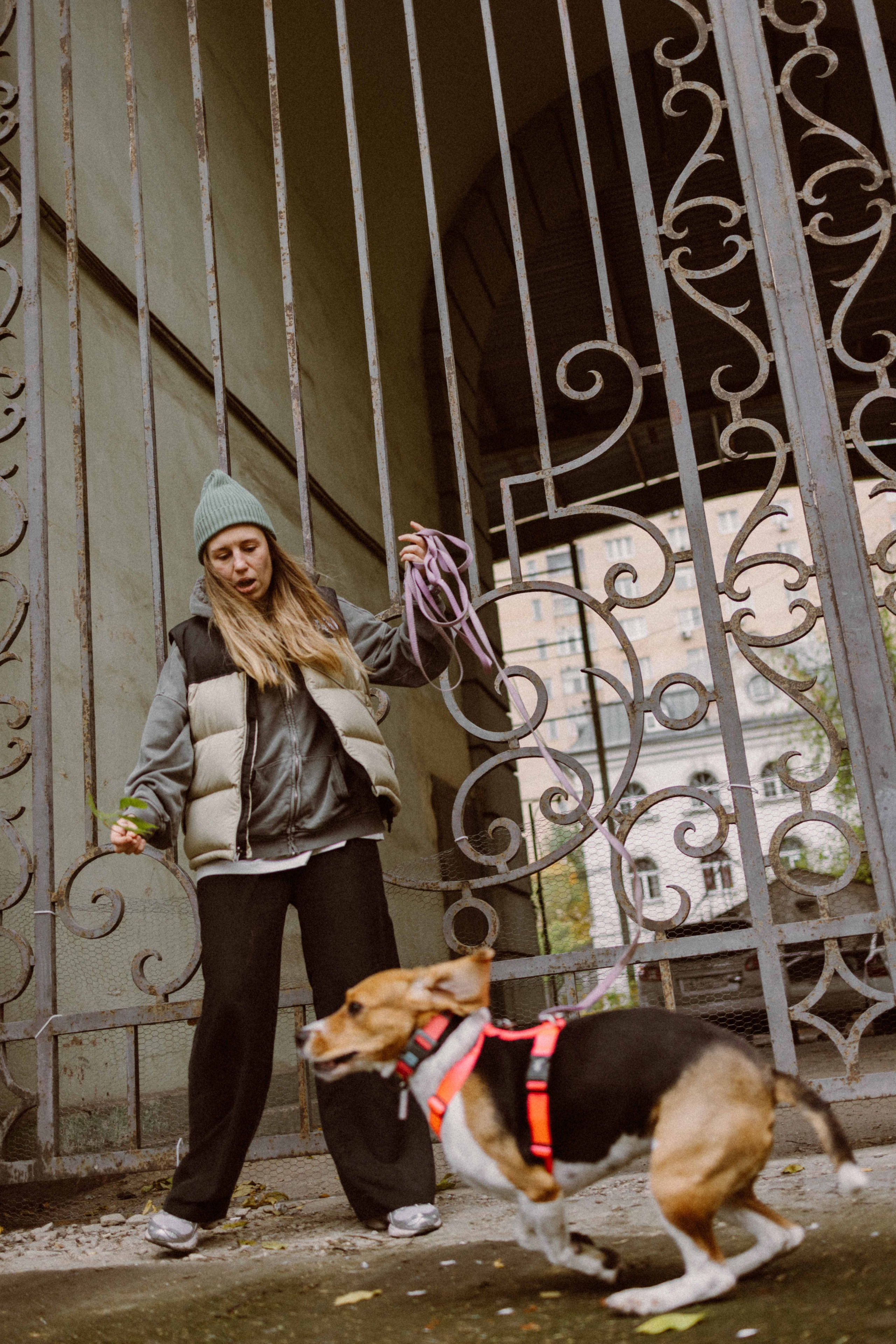 Света и Ива. Фотограф-анималист в Москве Лера Черноног