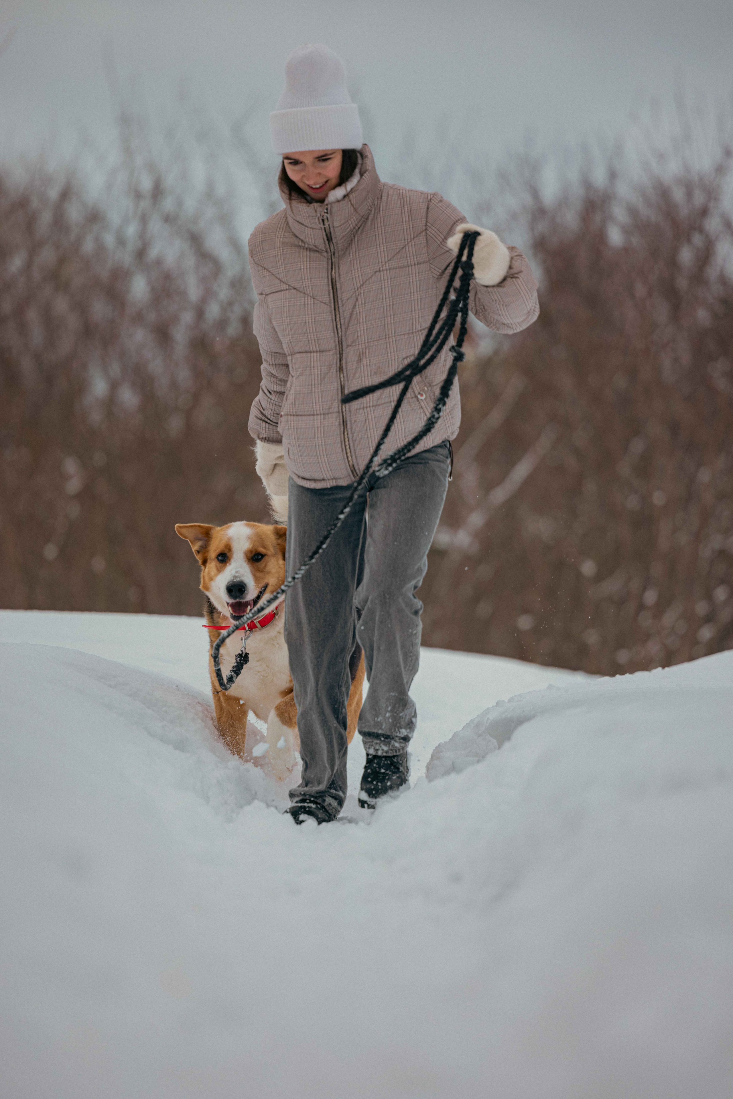 Петя. Фотограф-анималист в Москве Лера Черноног