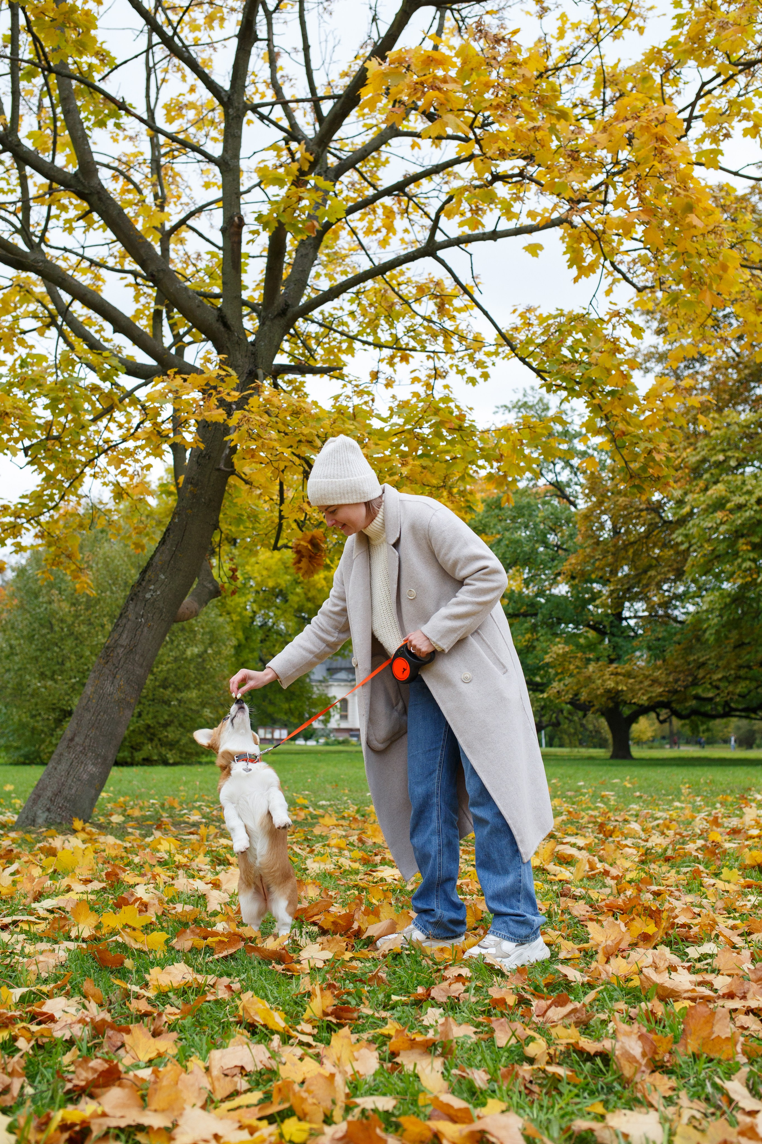 ПРОГУЛКИ. Фотограф Надежда Заломаева