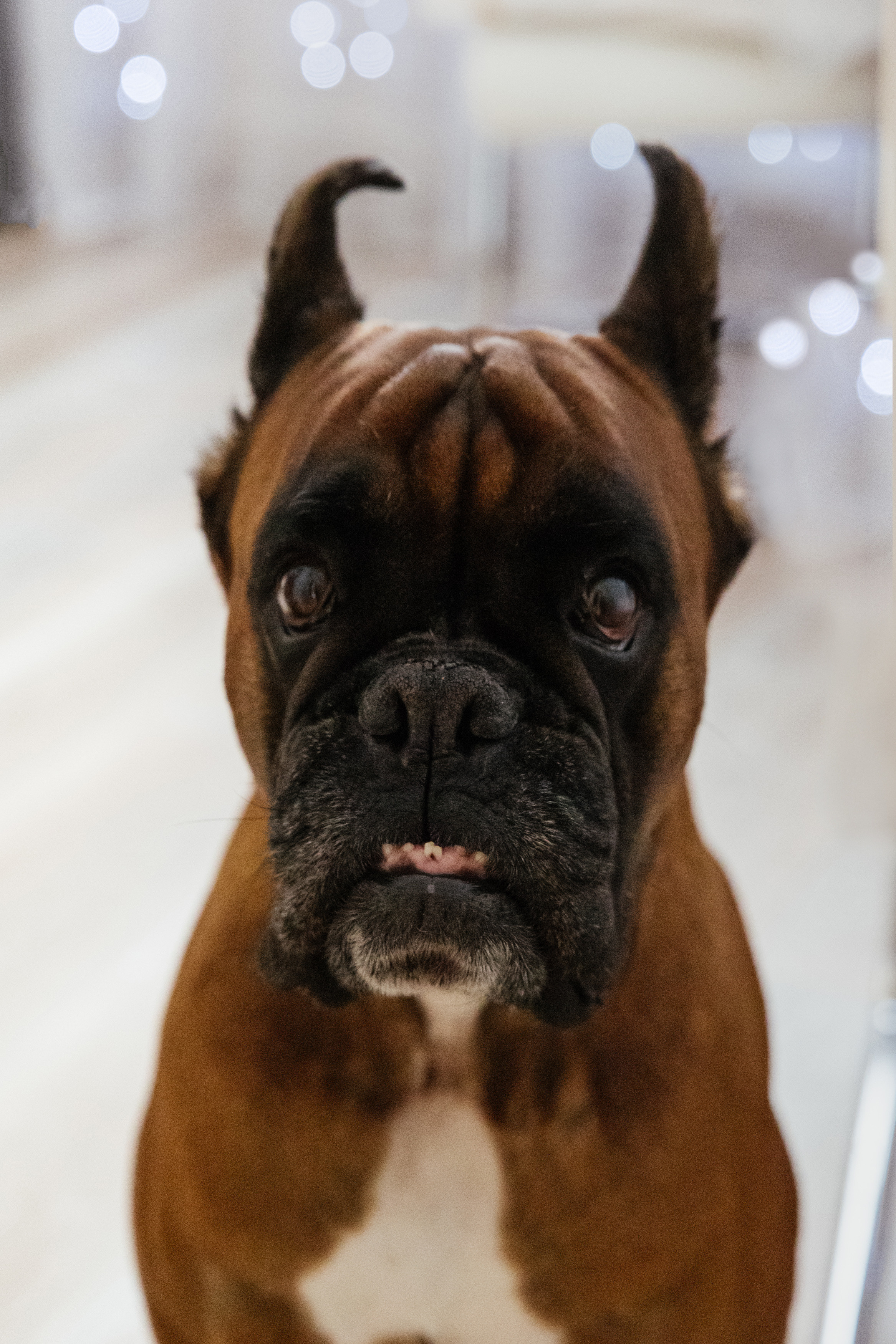 Яна, Ваня и Добромир. Фотограф Анастасия Косюра