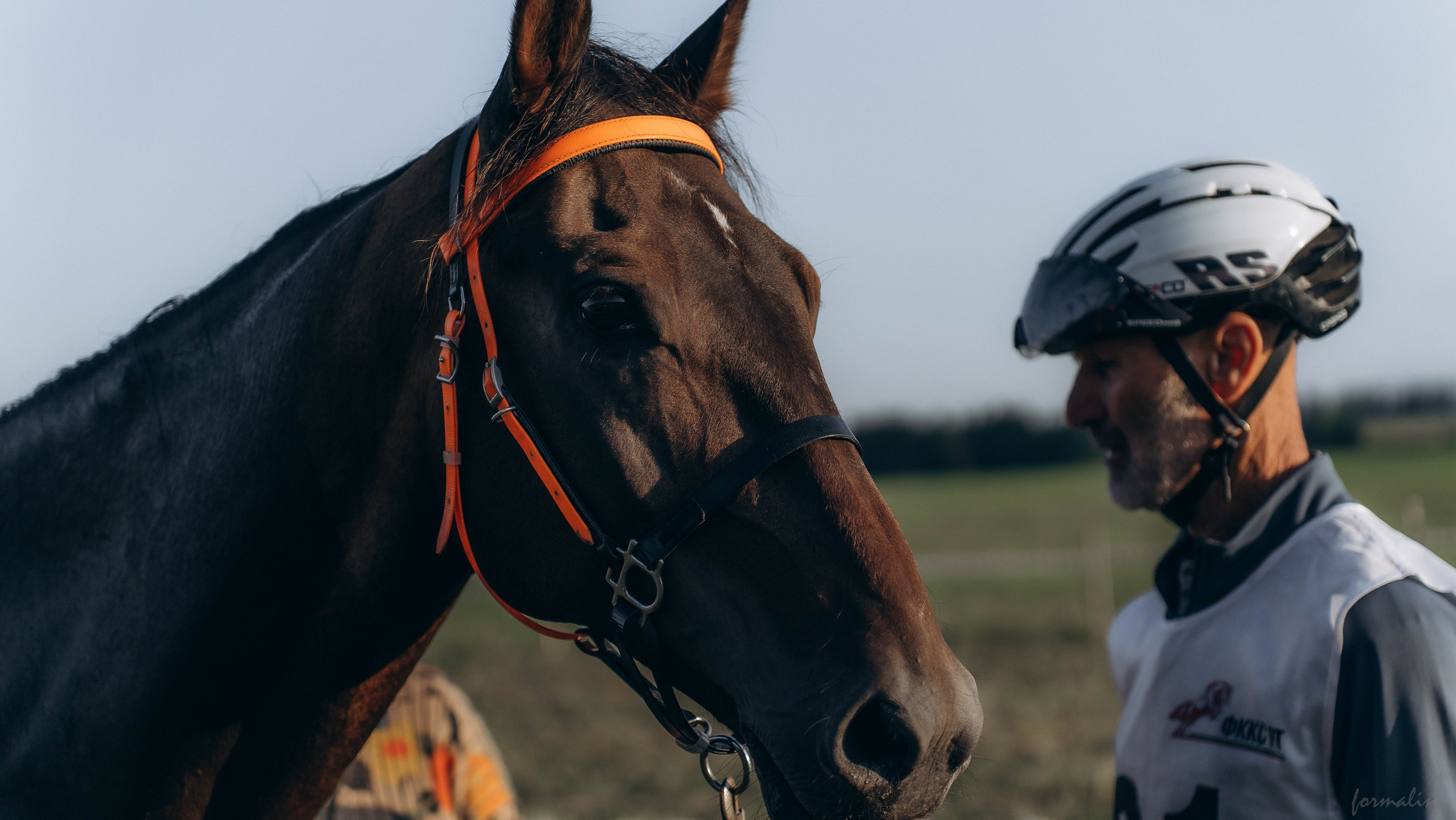 День Коня. Алиса Никитцова | Фотограф в Казани