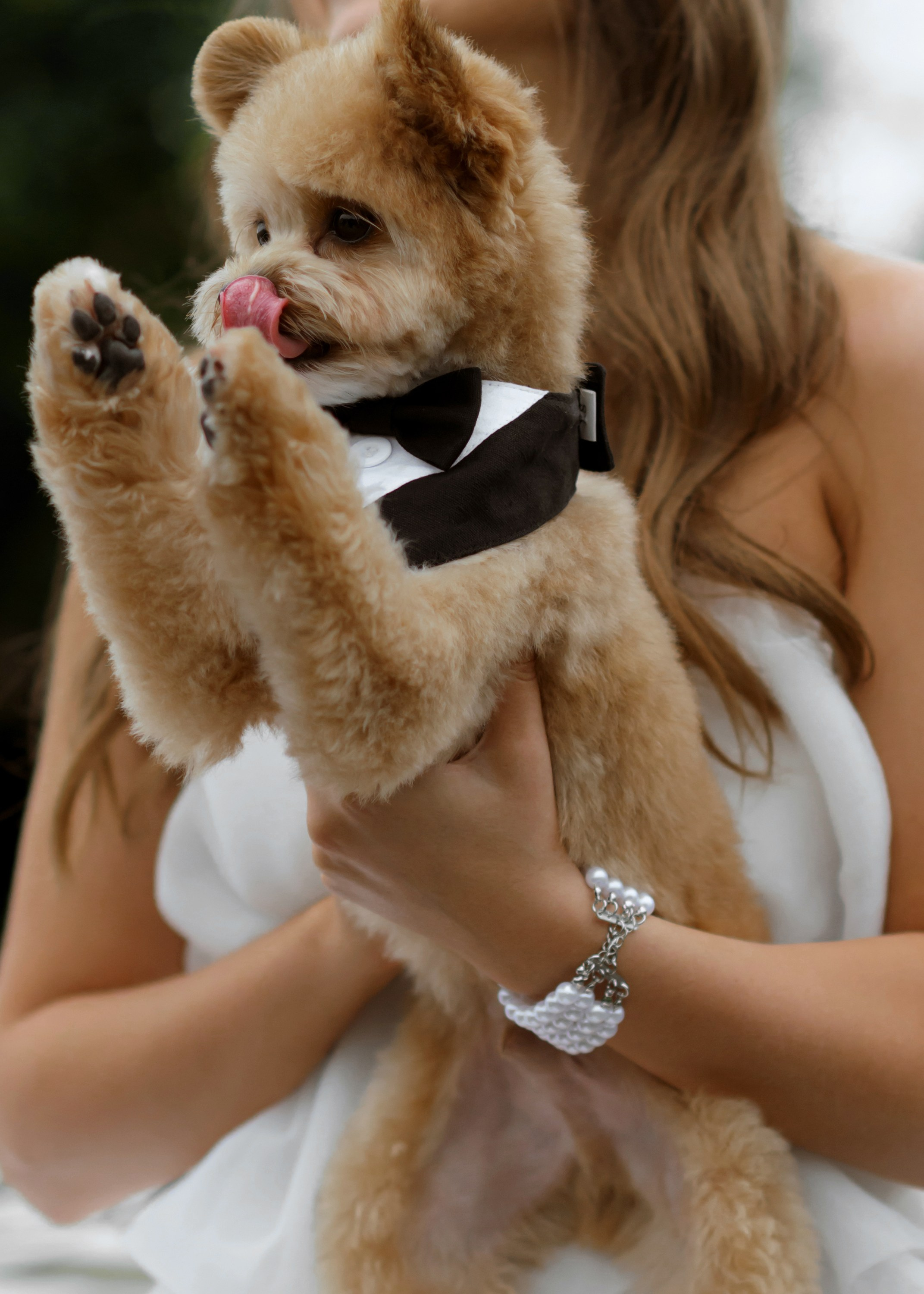 Саша & Женя. Фотограф Александр Захар. Минск, Москва, Дубай