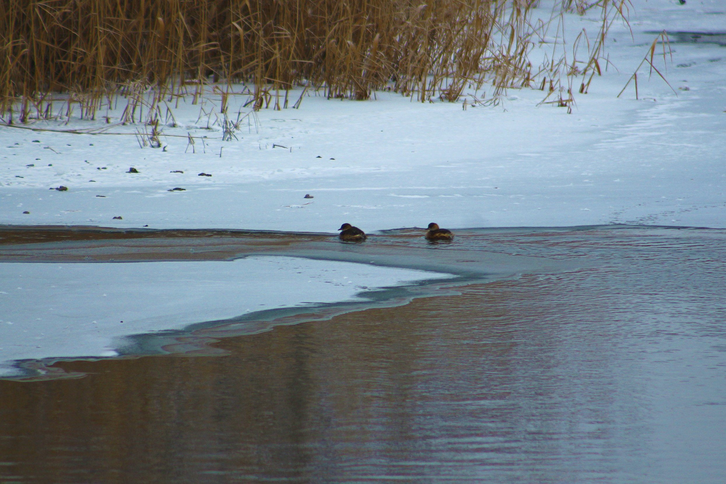 Пейзажи. Фотограф из Донецка Александр Турко