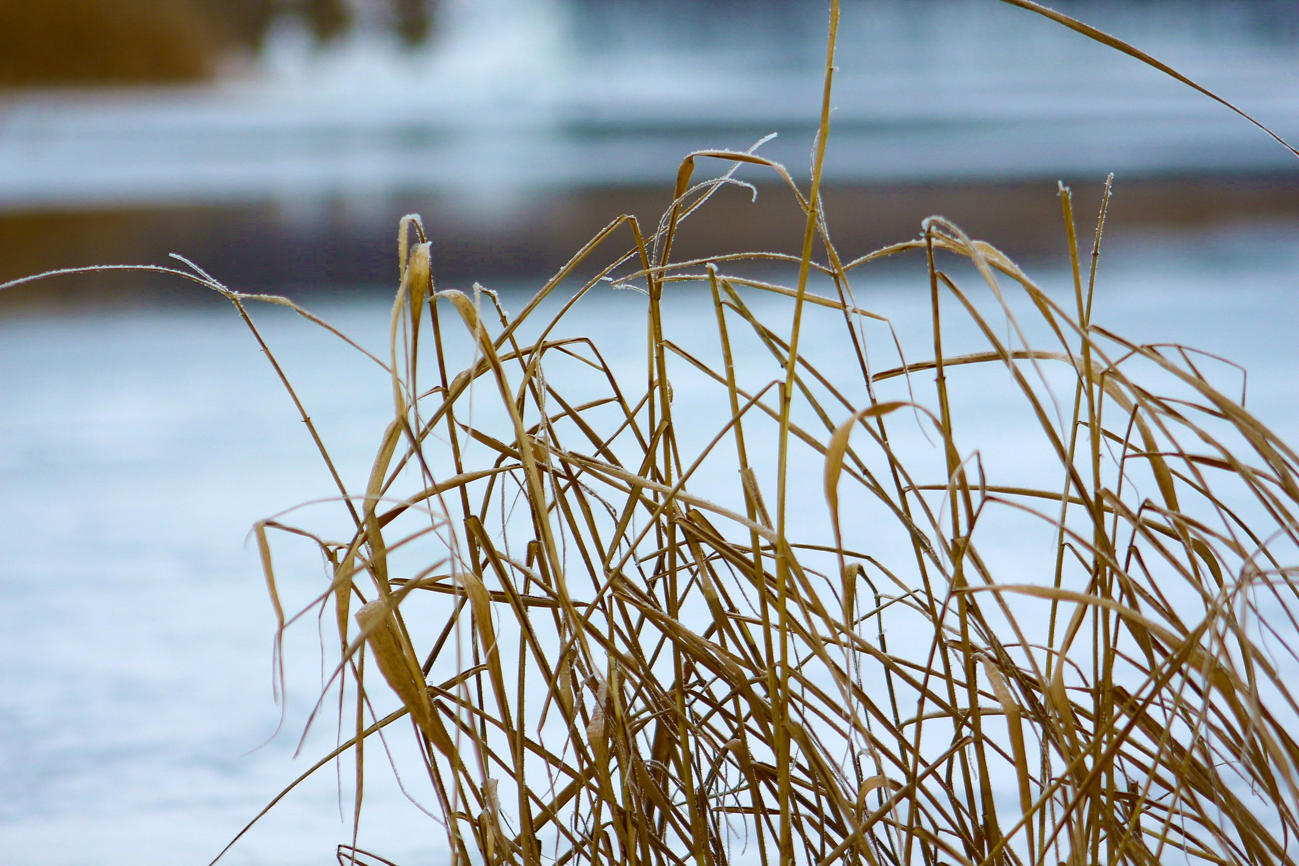 Пейзажи. Фотограф из Донецка Александр Турко