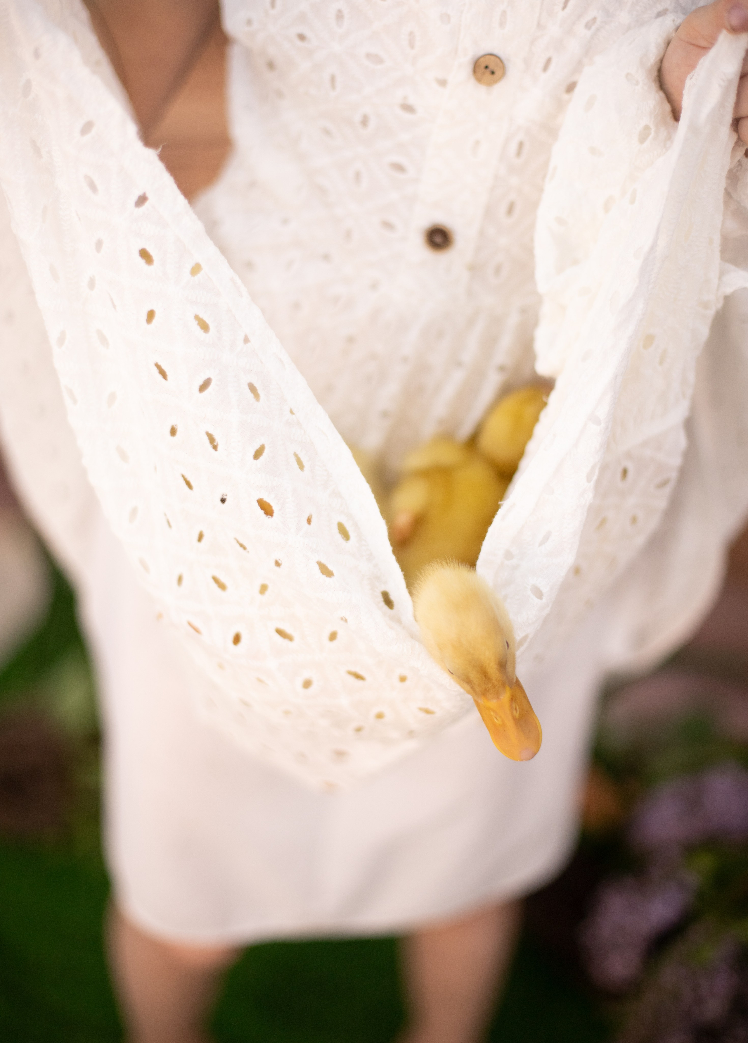 Пасха Утята. Лучший фотограф Краснодара (по версии моей мамы)