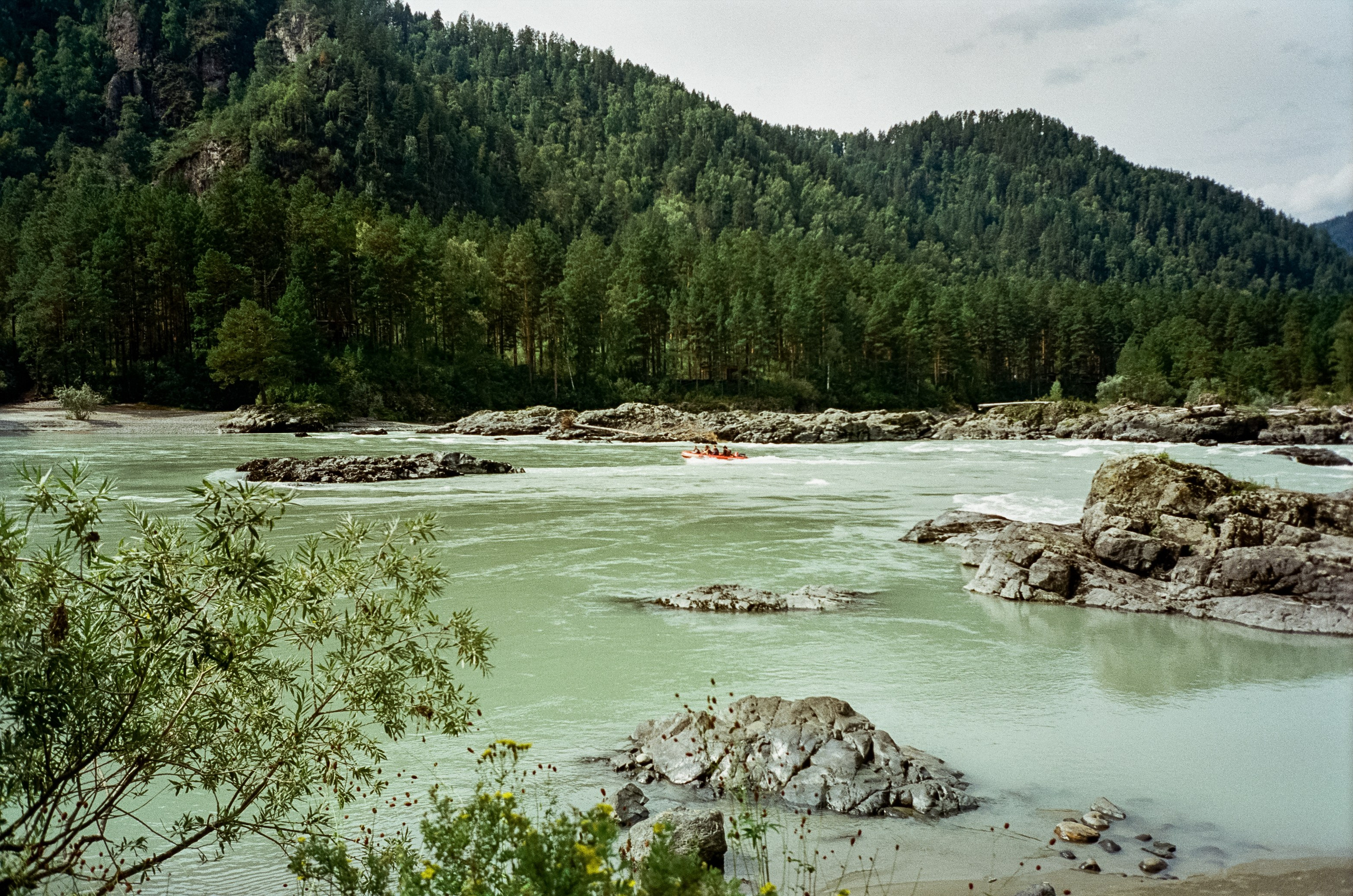 По Чемальскому тракту от Кедрового острова до реки Куюм. Фотограф-документалист Мария Осокина
