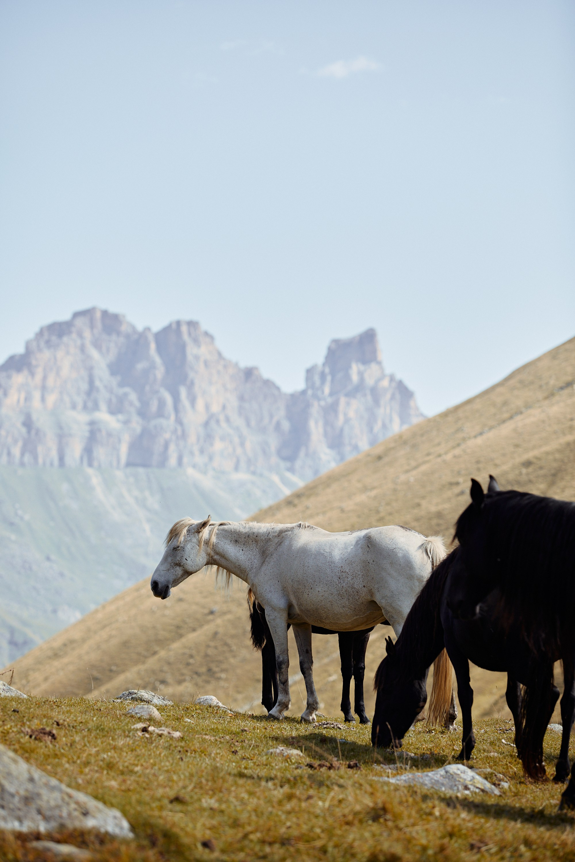 Озеро Гийбашкель. Фотограф Продюсер в горах КБР / Москва  Нальчик Горы