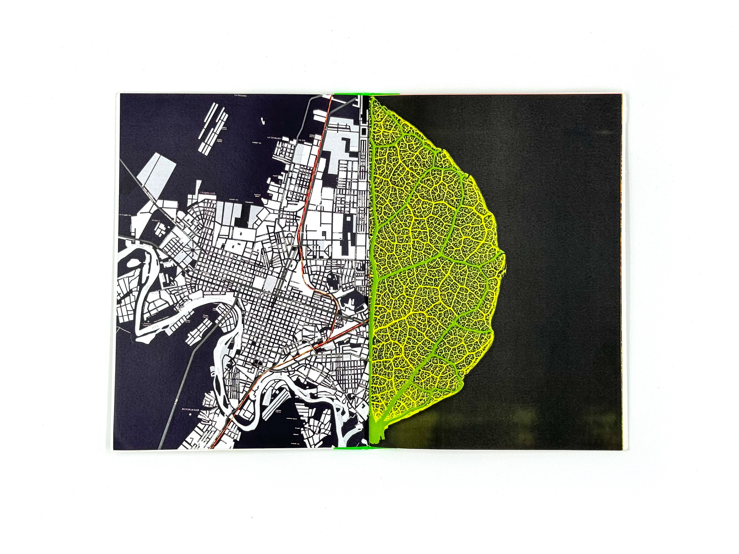 Экспедиция № 7. Лера Круглова