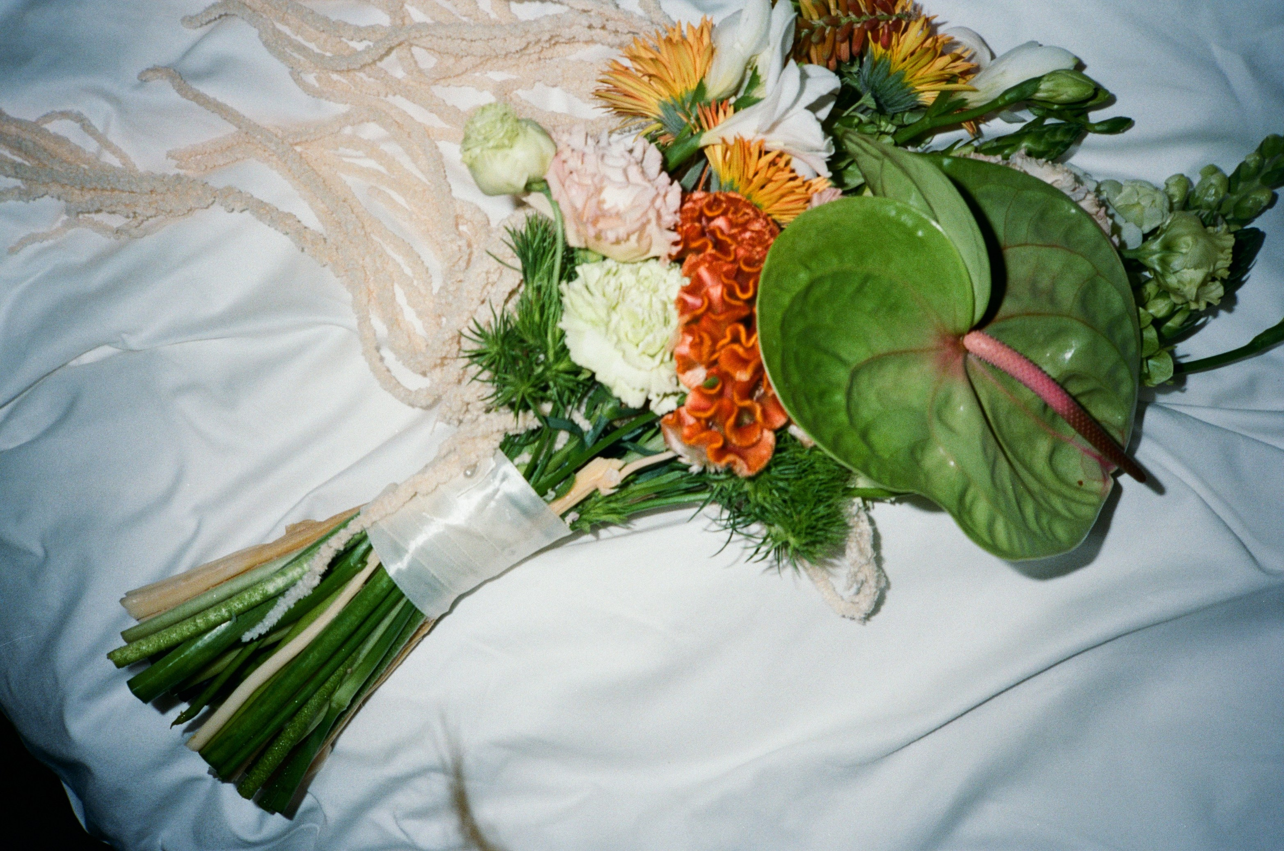 D&D. Свадебный фотограф Москва