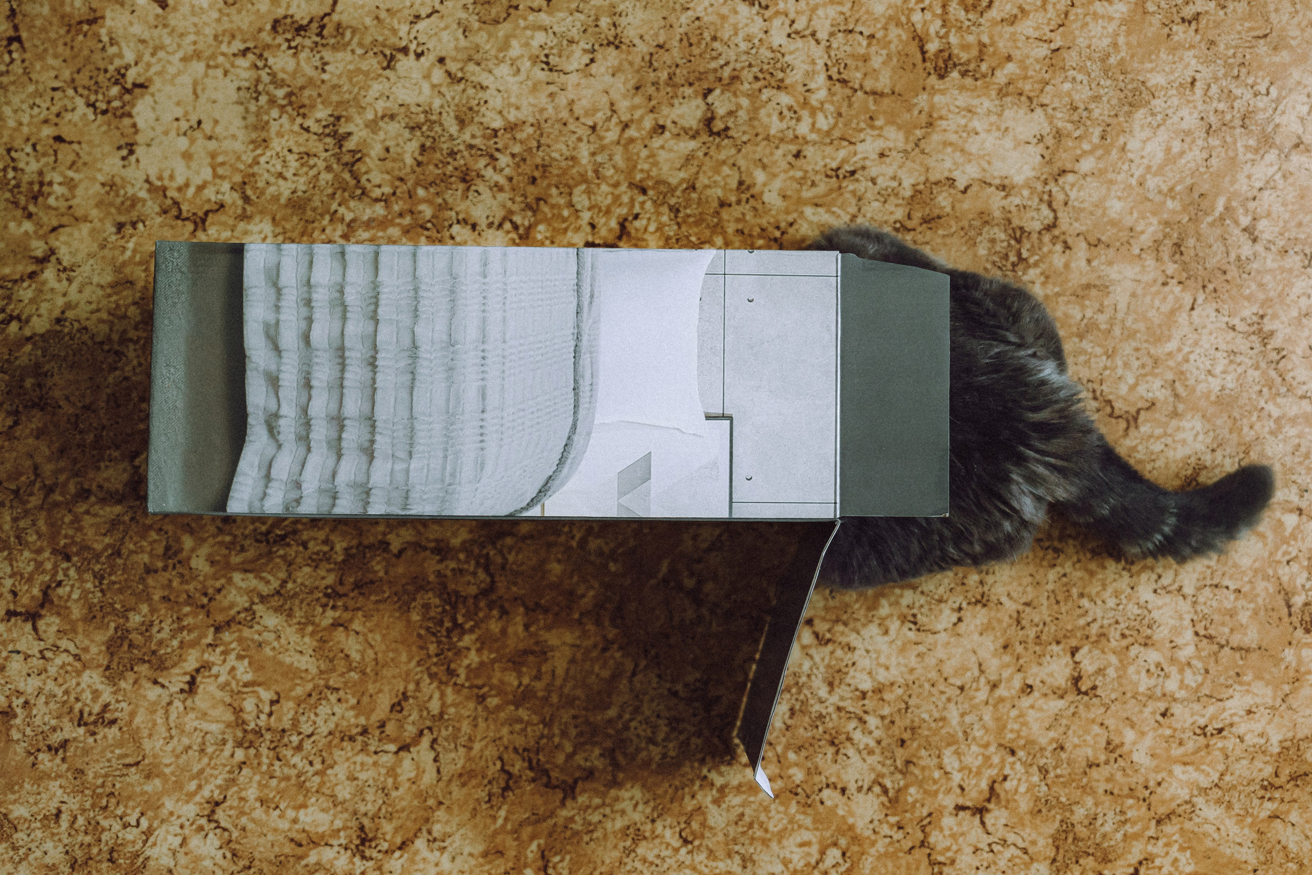 Яся и ее семья