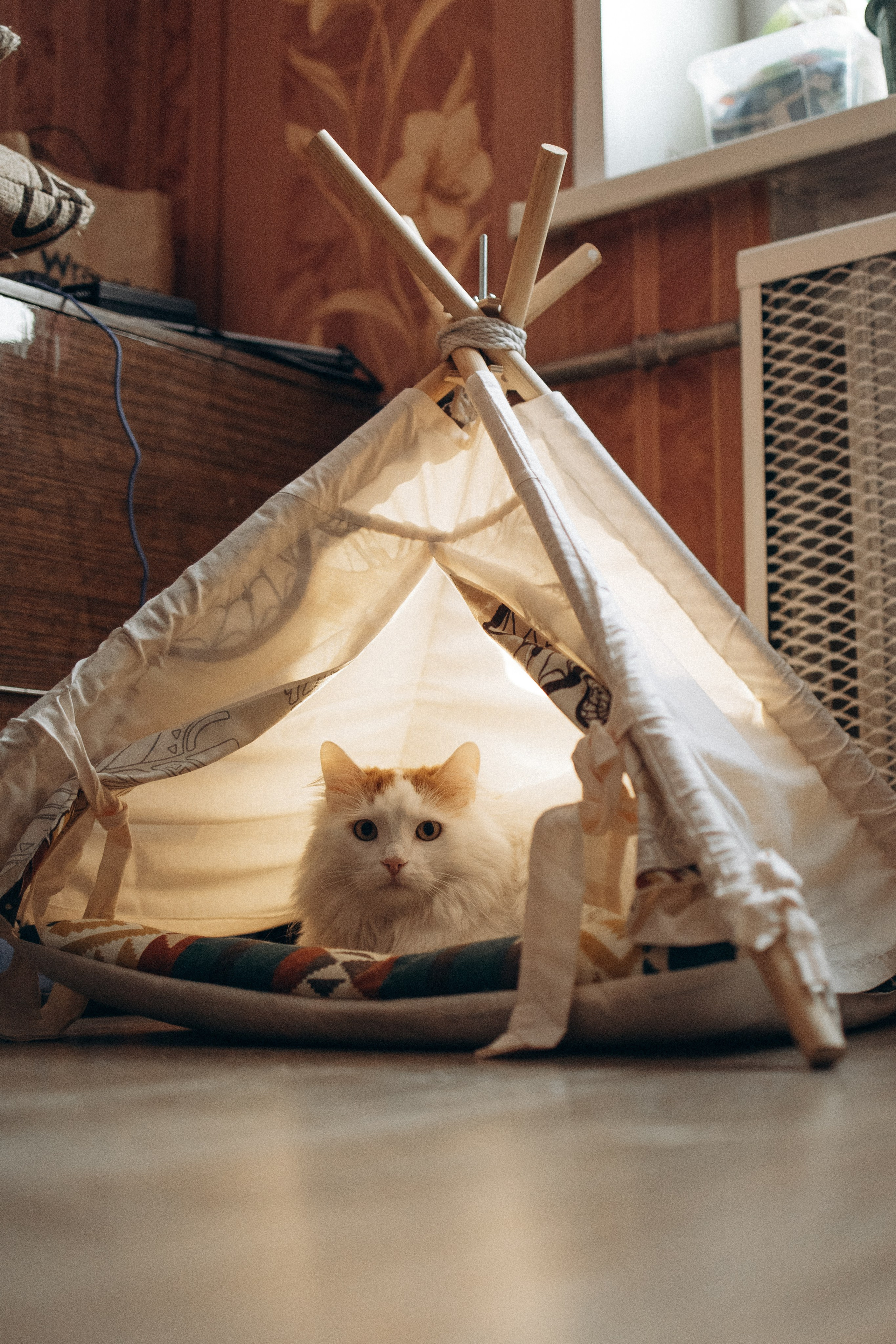 Маша и ее семья. Фотораф — анималист Мария Шистка