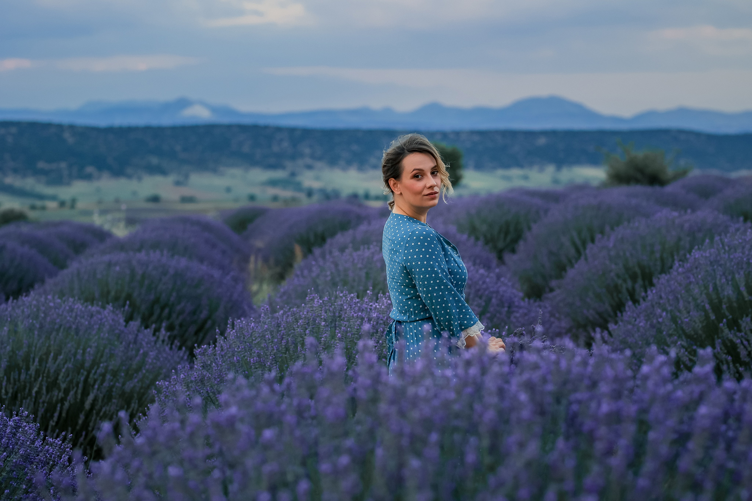 Lavender fields in Turkey