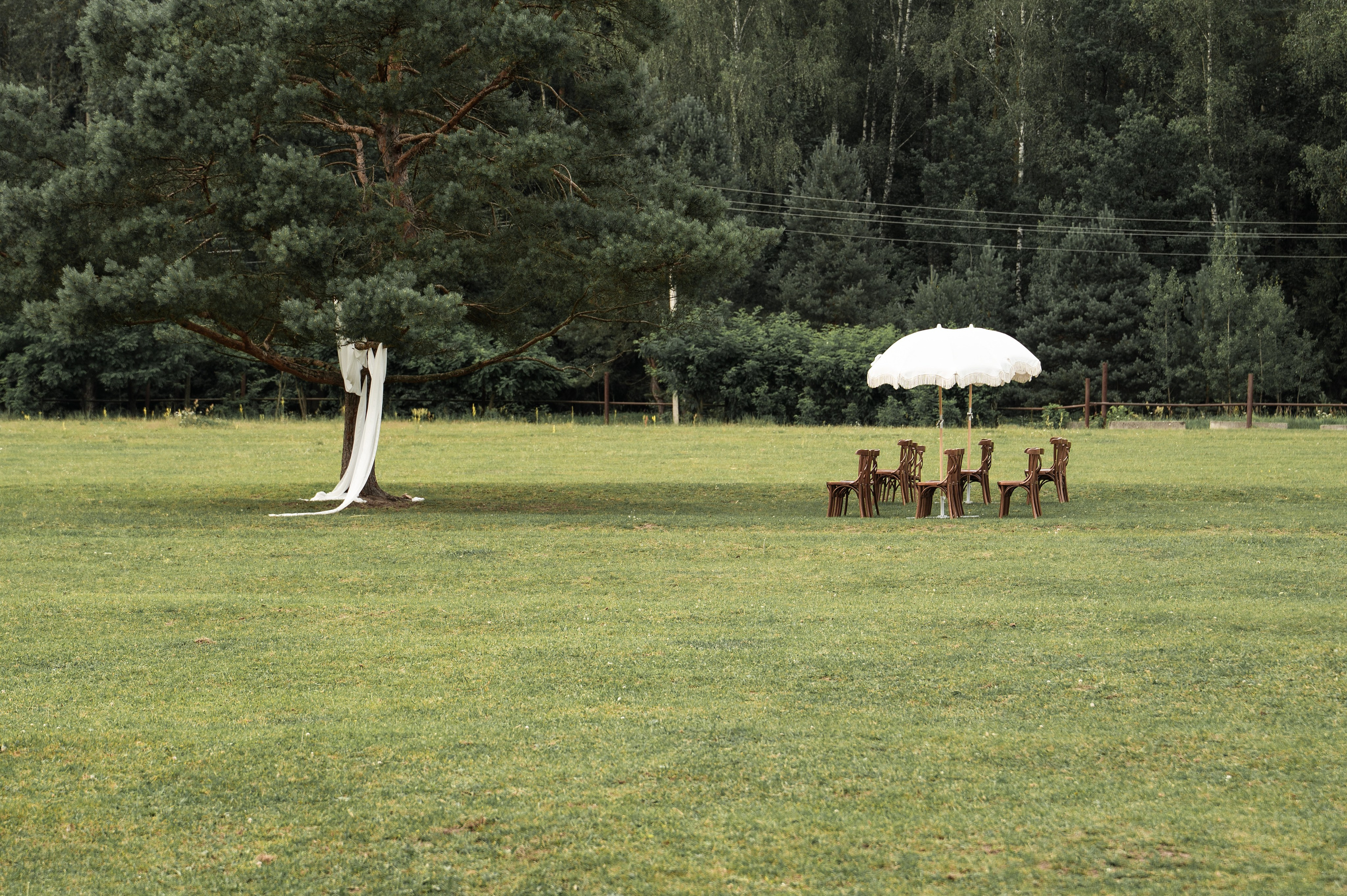 Wedding. Журавлёва Елена