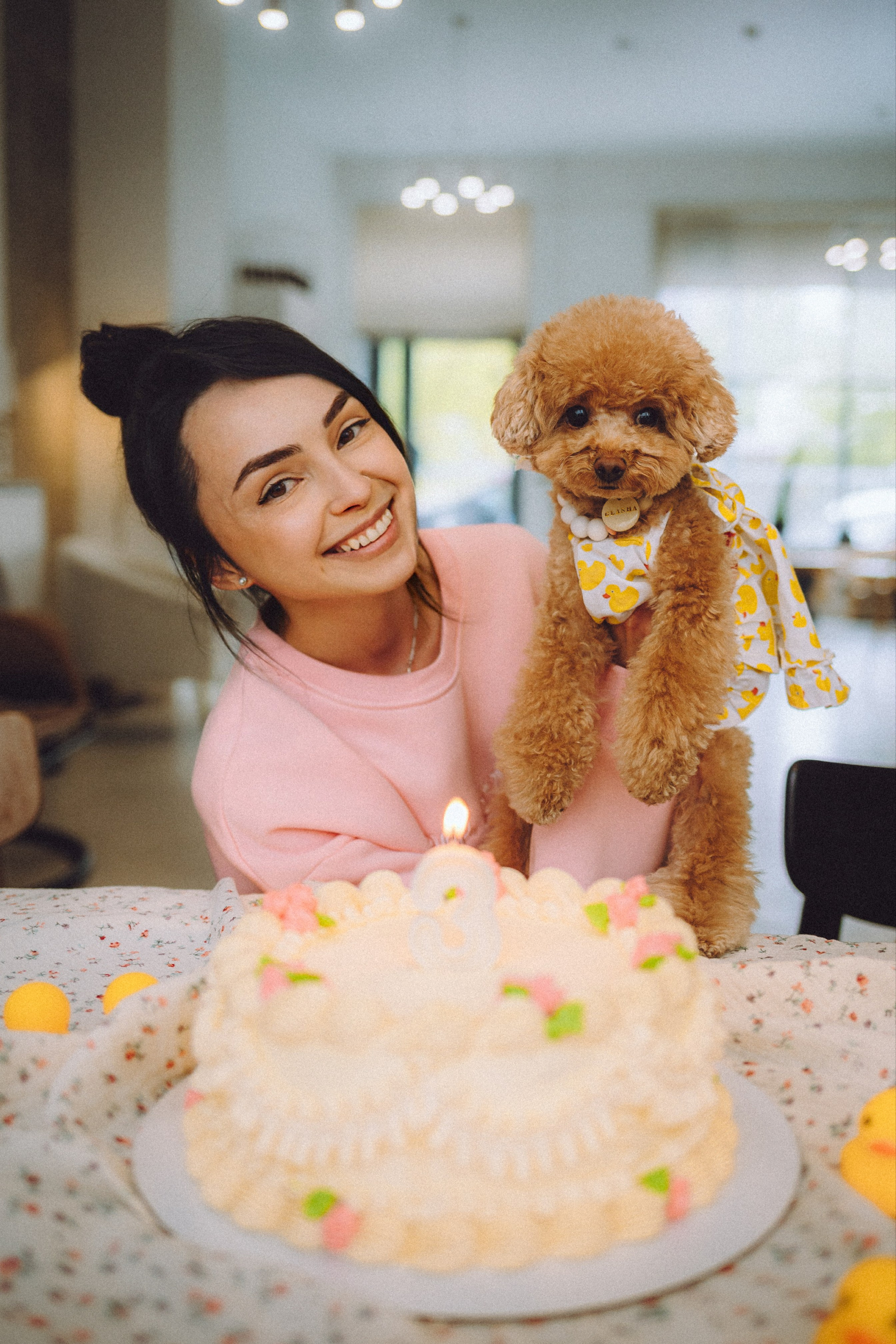 День Рождения пуделя Глаши