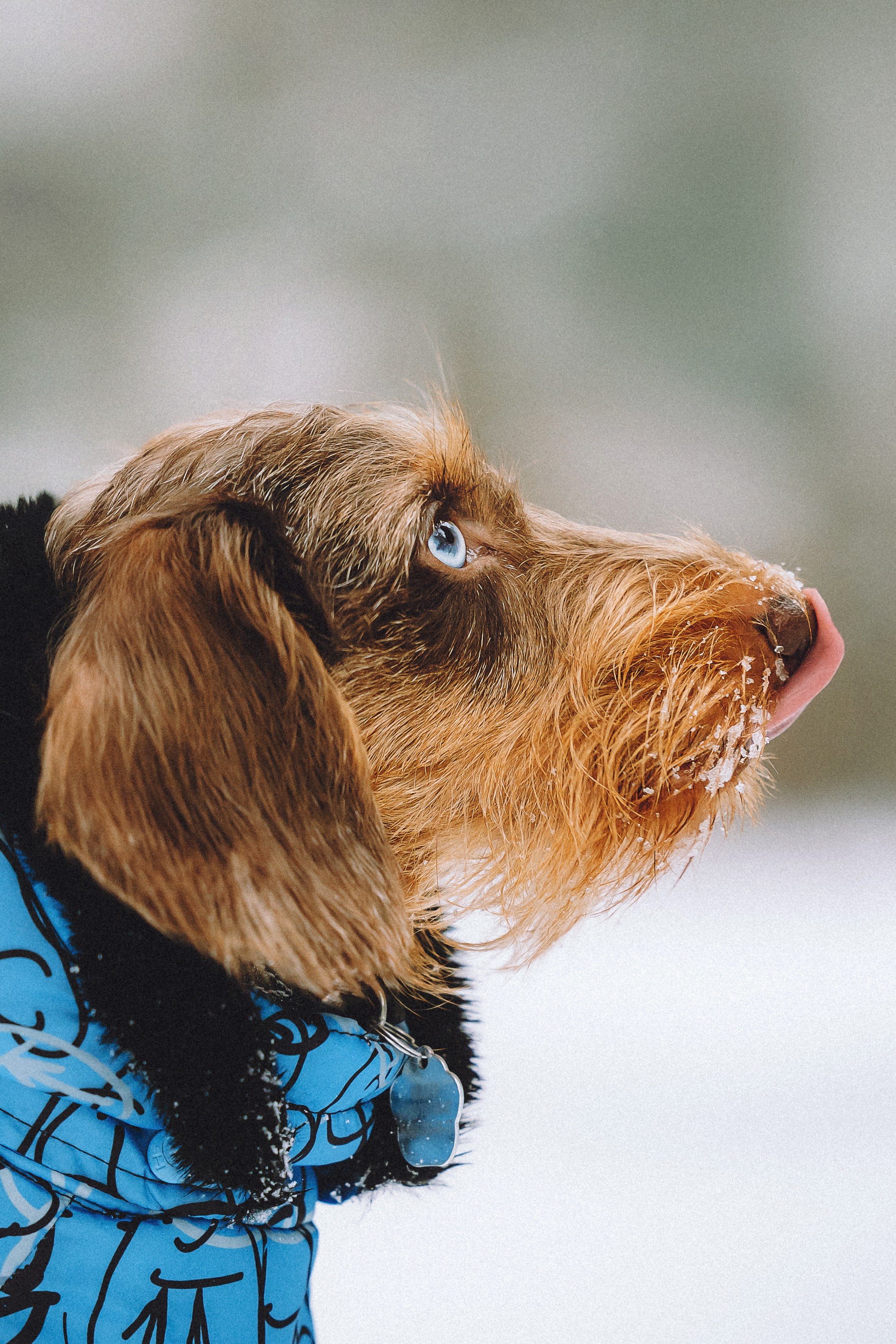 Каспер и его семья