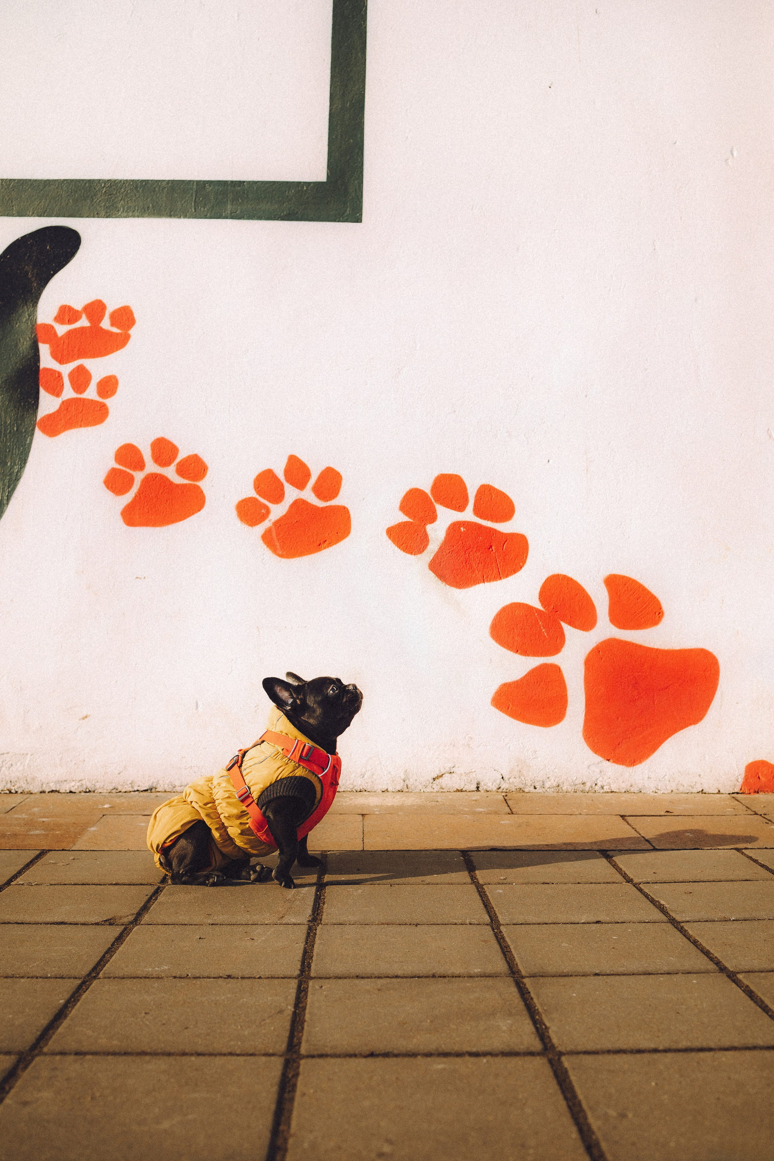 Саша, Дима и Шпуля