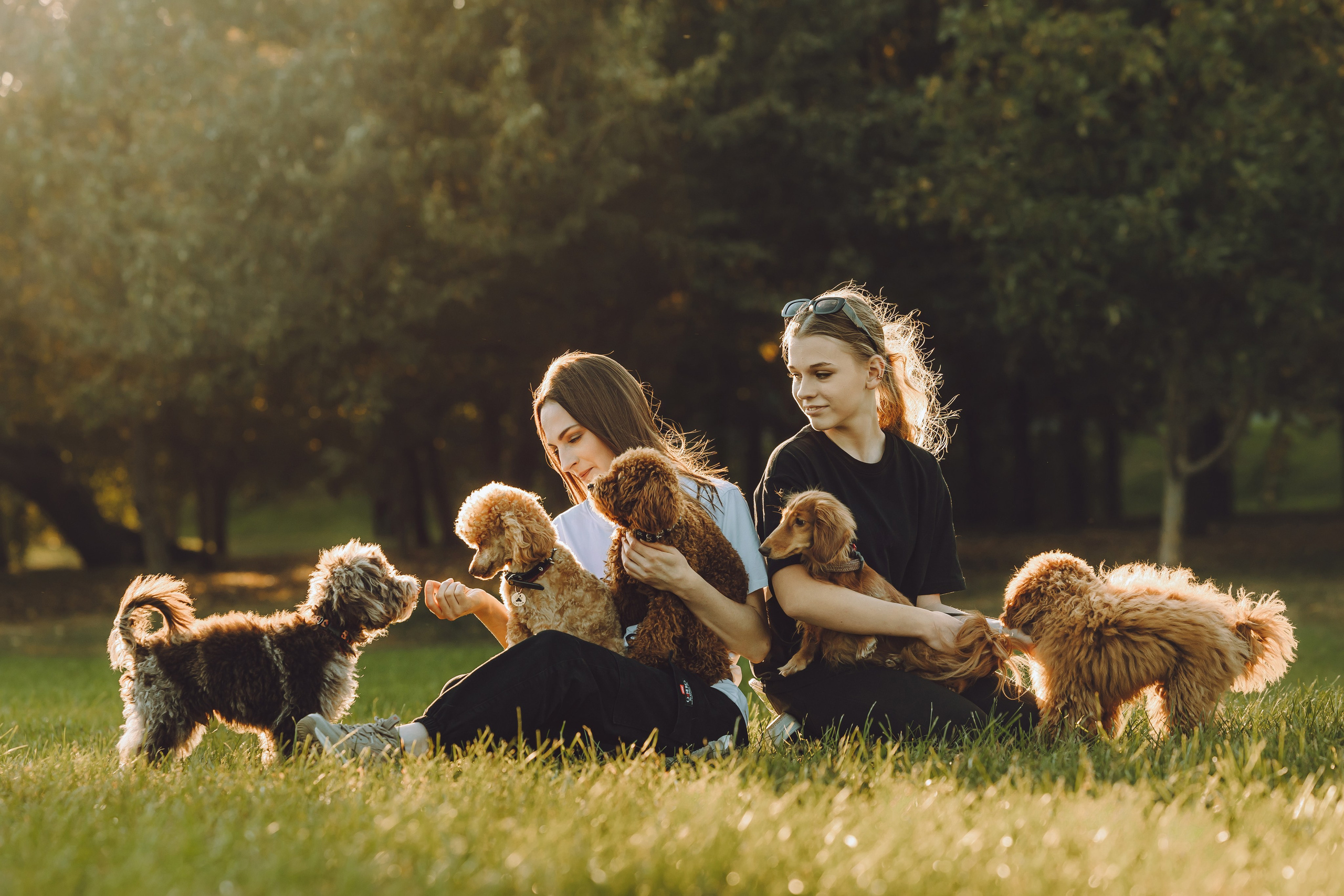 Кристина и все-все