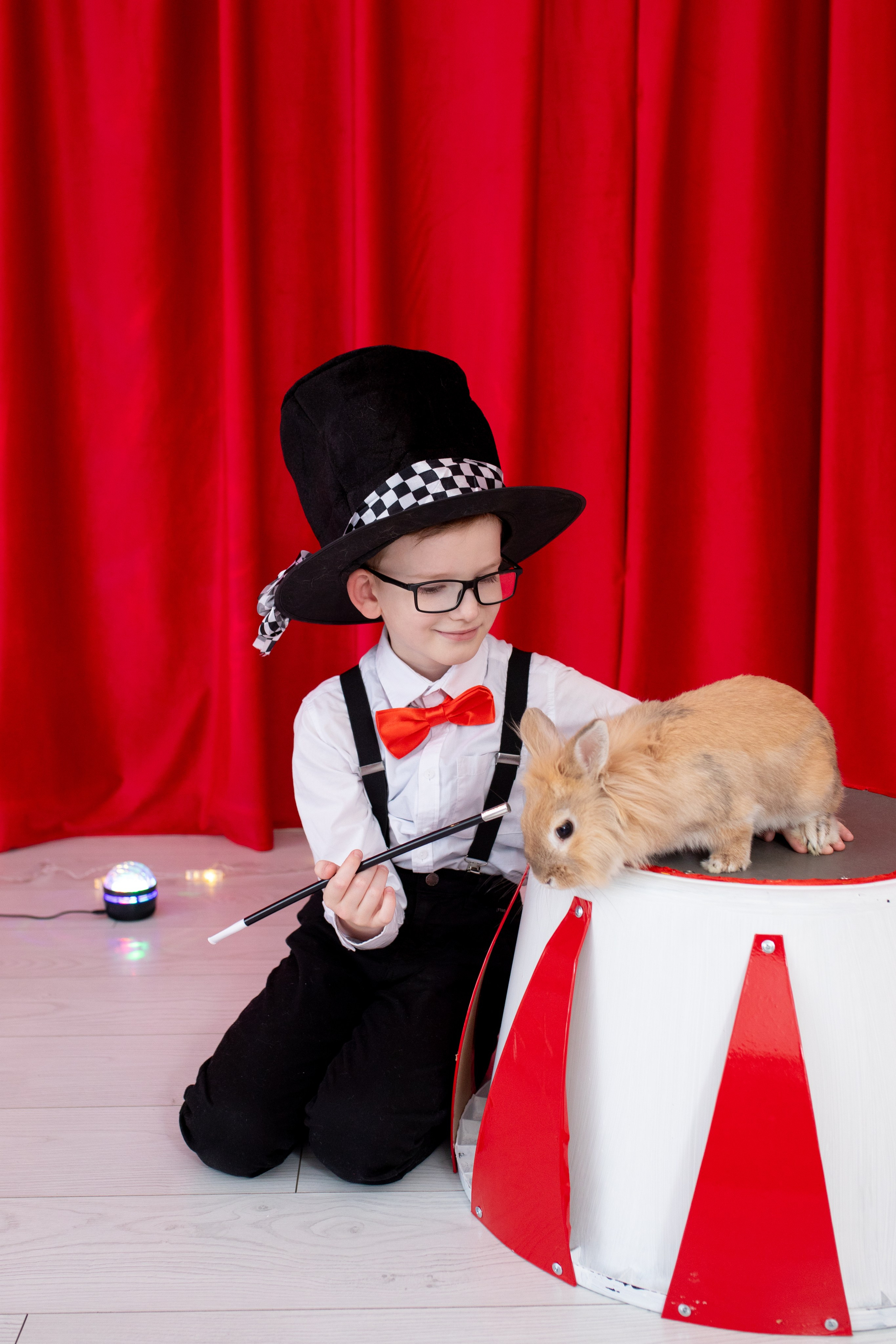 Фотодень «Цирк». Фотограф в Новосибирске Ася Зверева