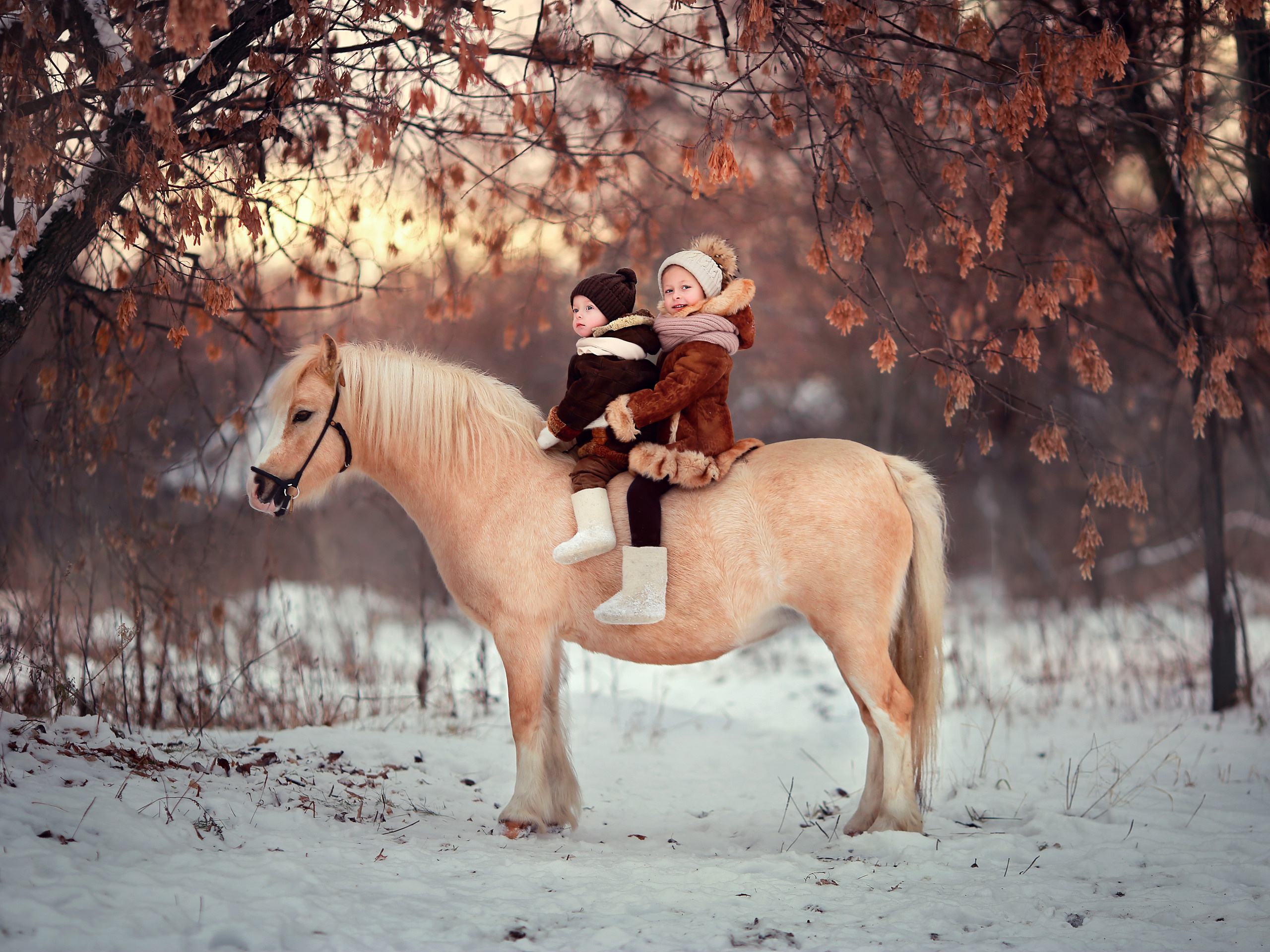 Детская фотосъемка. Ольга Котова