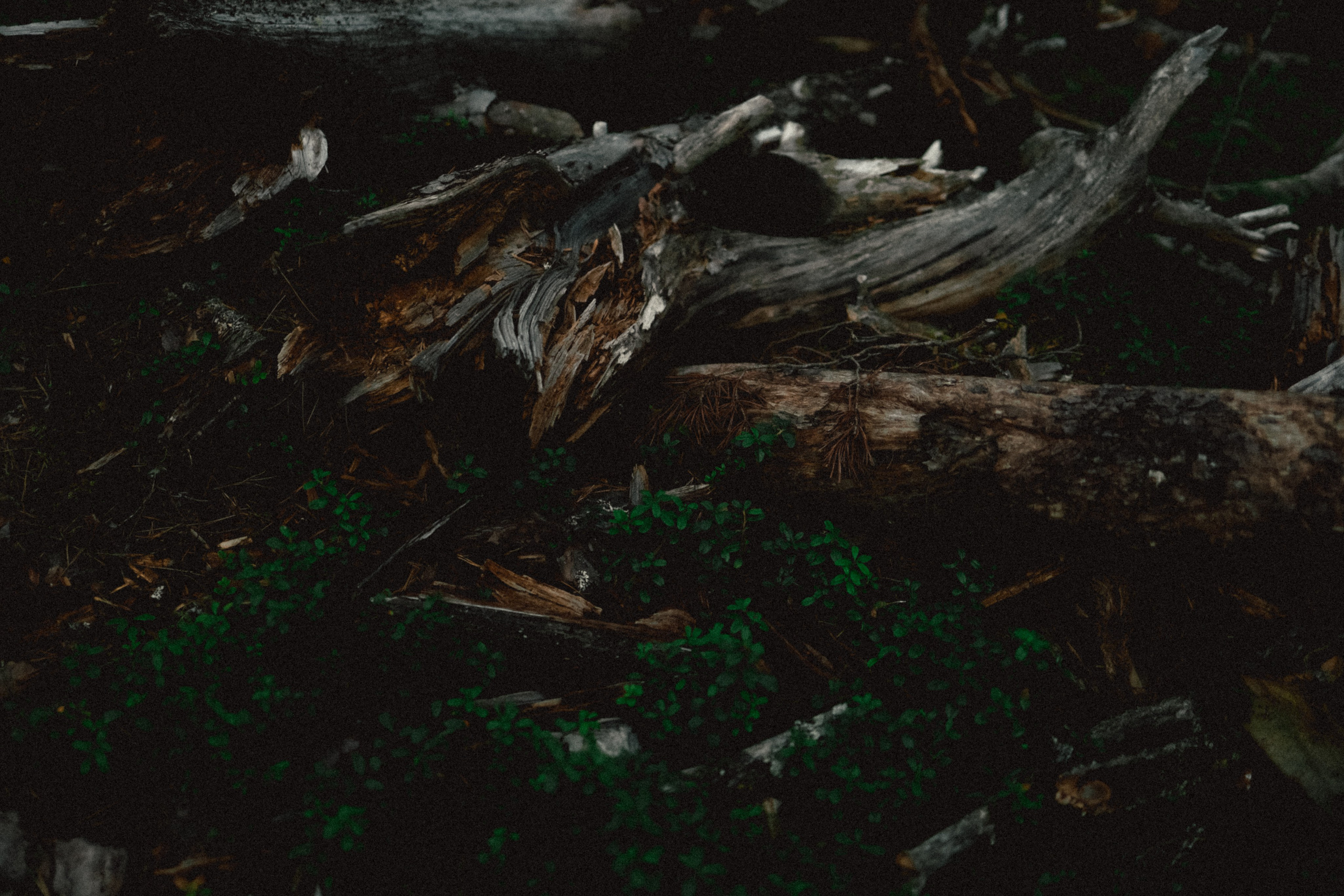 Череповец. Анна Мильч