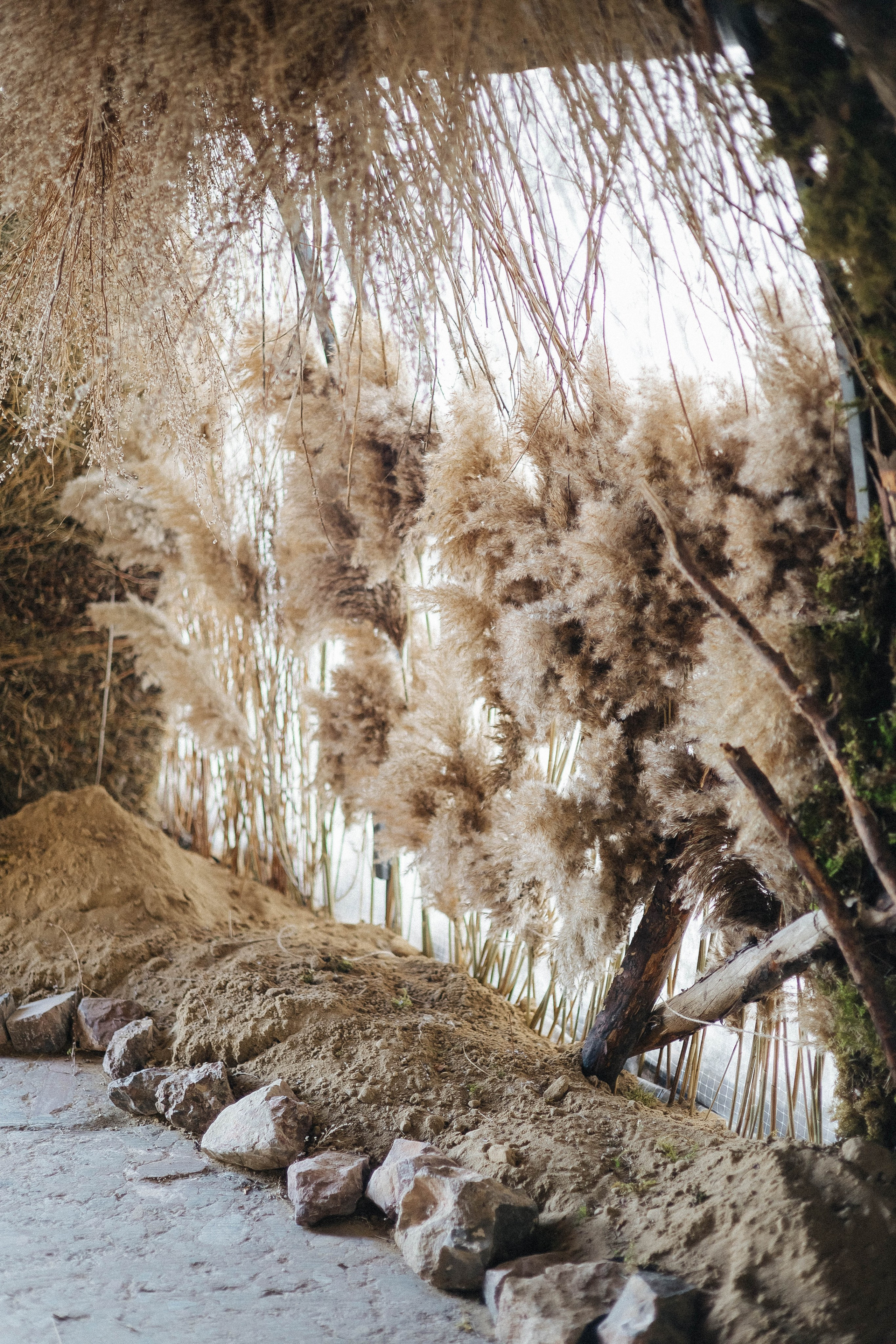 Дикий ужин. Фотограф в Красноярске Надежда Воскресенская