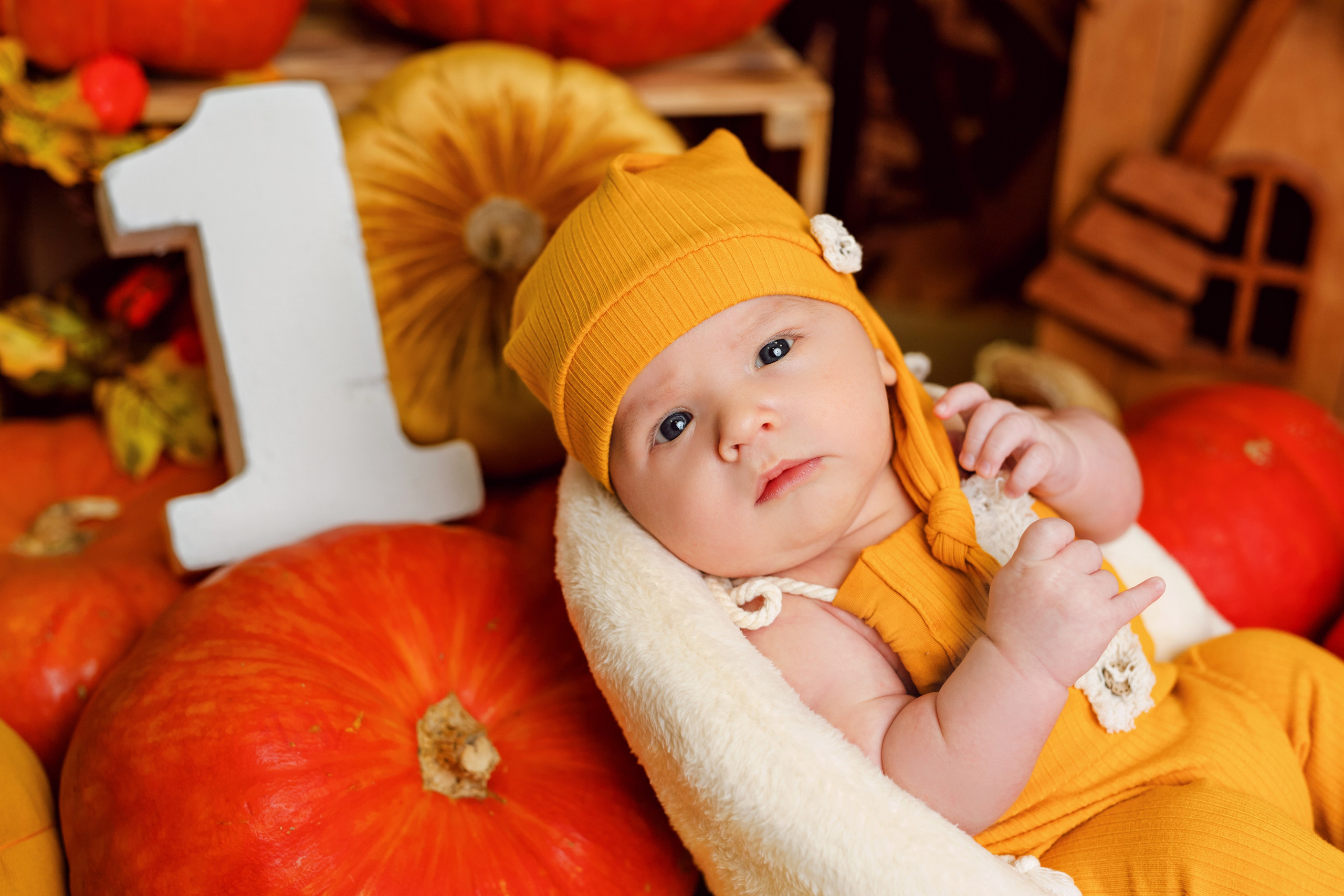 Тыквы. Фотограф Болотова Иветта