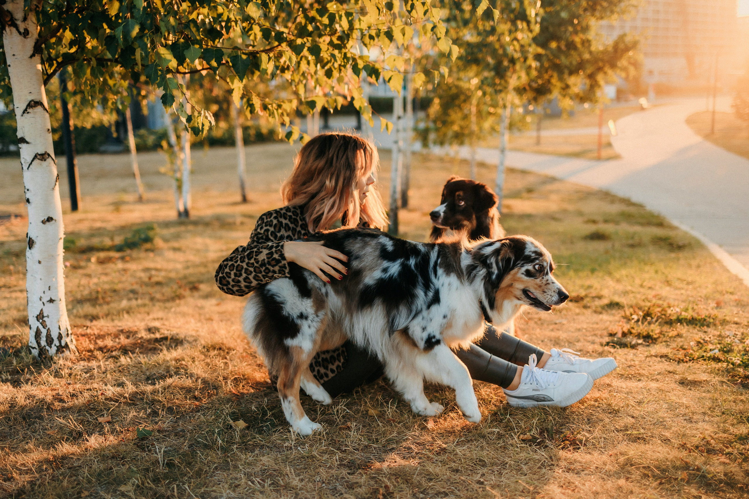 Аня, Чарли и Ева. Фотограф-анималист Елена Радченко, Москва