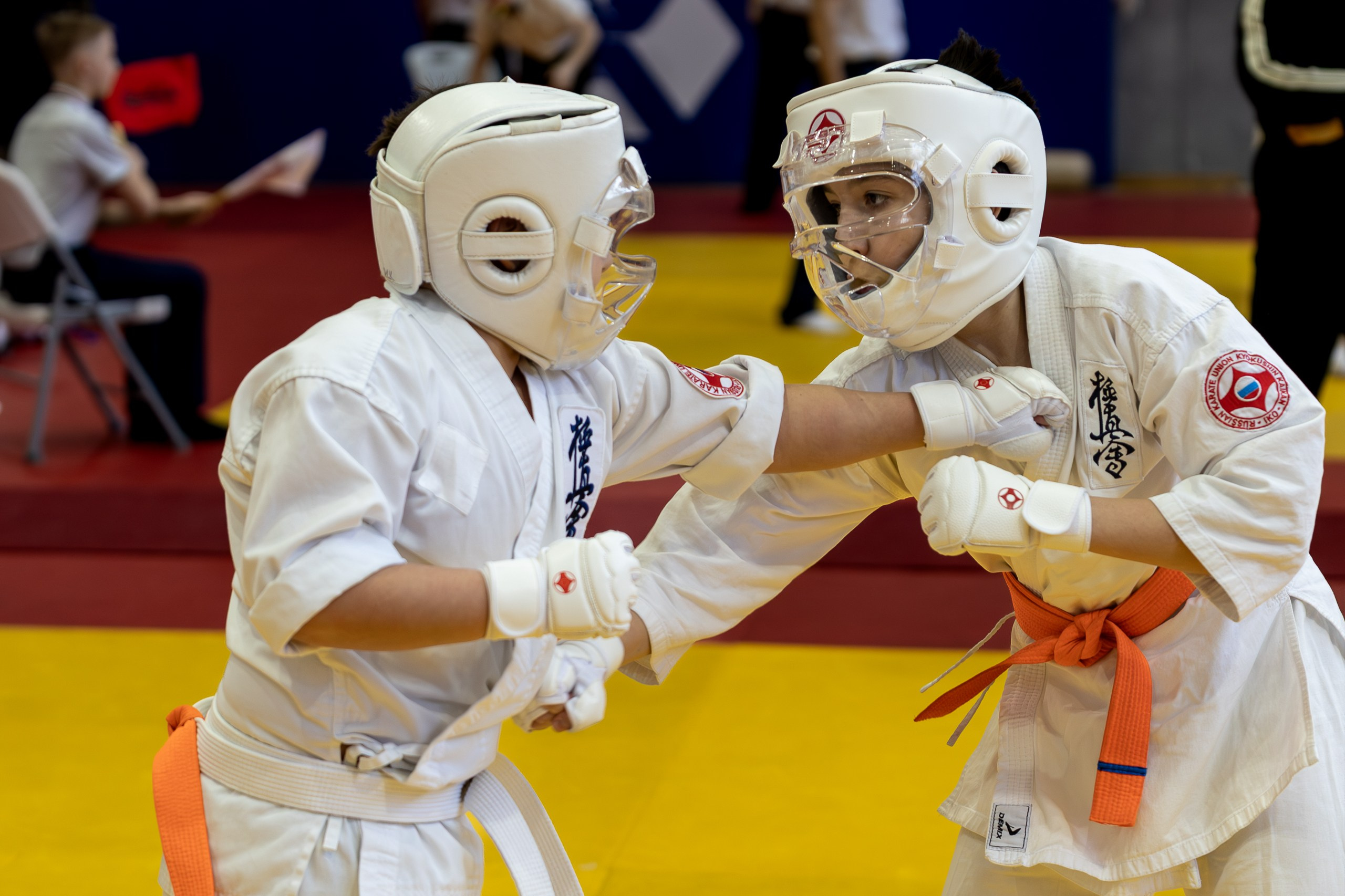 Карате кумите. Главная