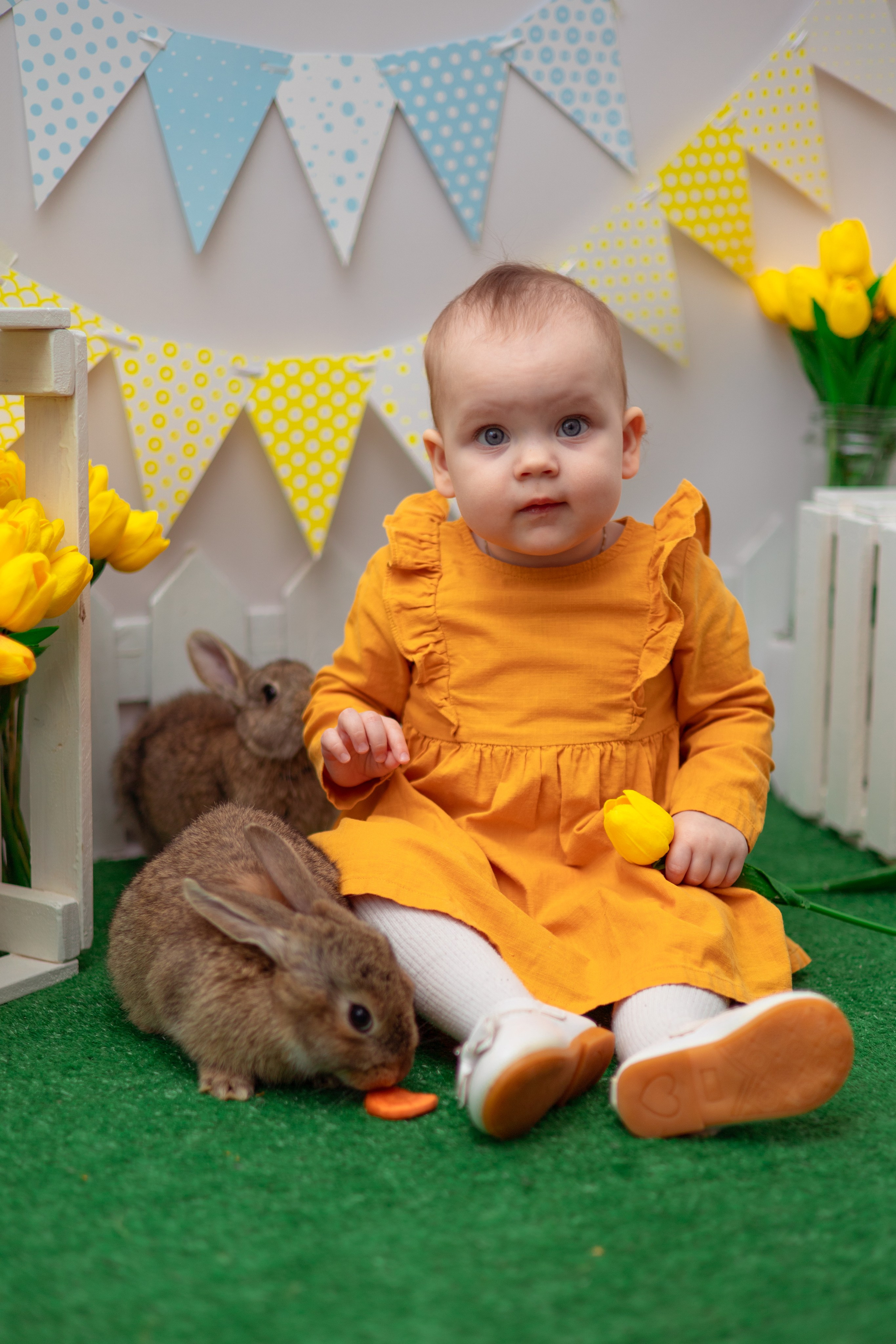 Вероника кролики. Семейный и детский фотограф в Михайловке Татьяна Лестьева
