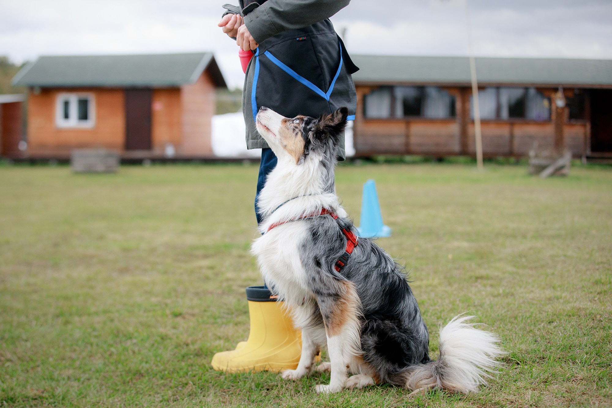 Лагерь по ОБД с Инной Баженовой. Фотограф-анималист Mary Mart — Москва, Питер