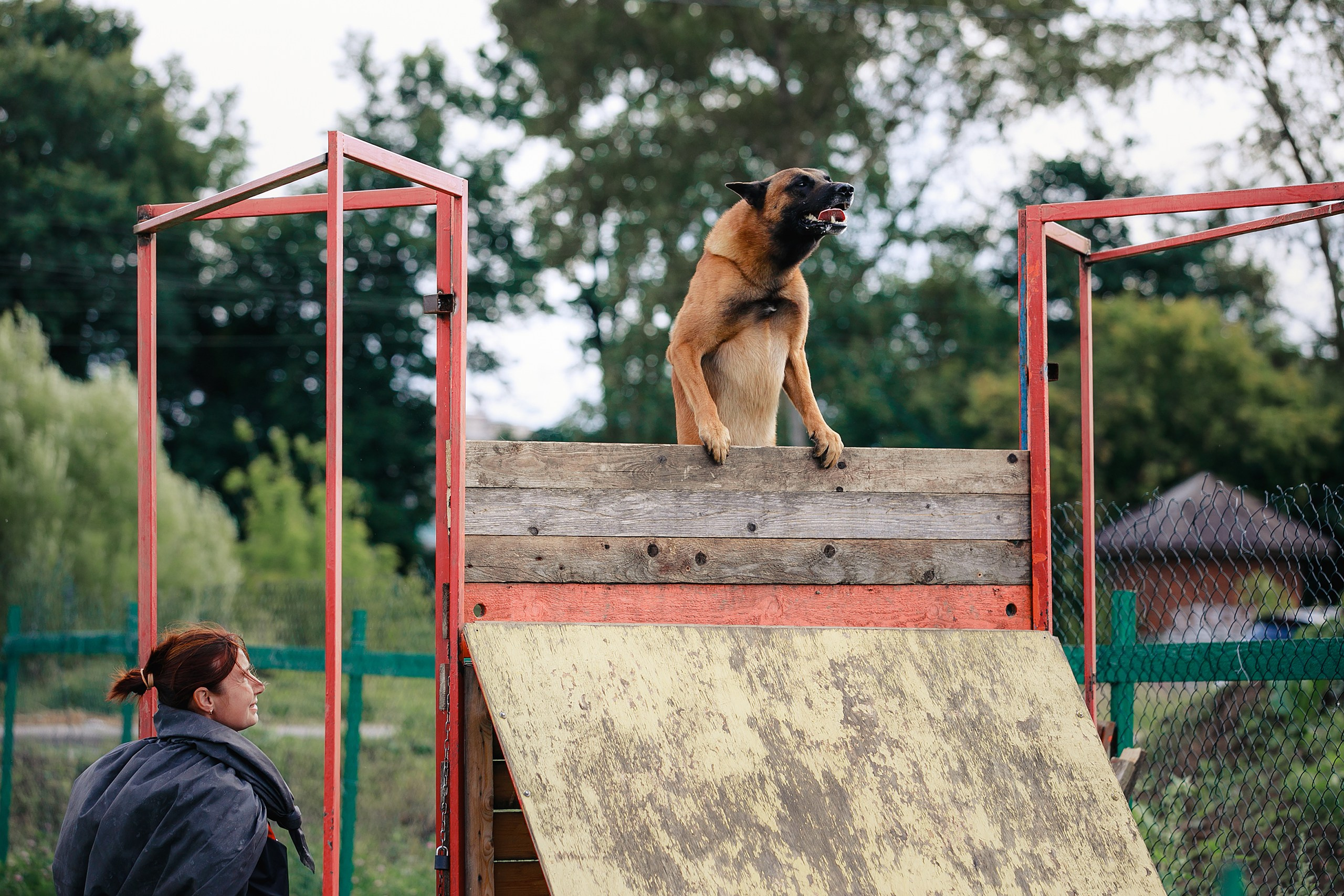 Мондьоринг М1, М2, М3, Вологда. Фотограф-анималист Mary Mart — Москва, Питер
