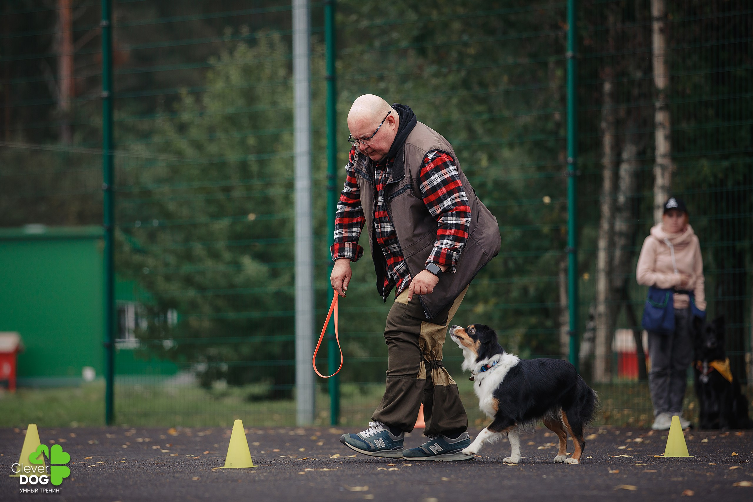 Кинологический лагерь CleverDog, 2024. Фотограф-анималист Mary Mart — Москва, Питер