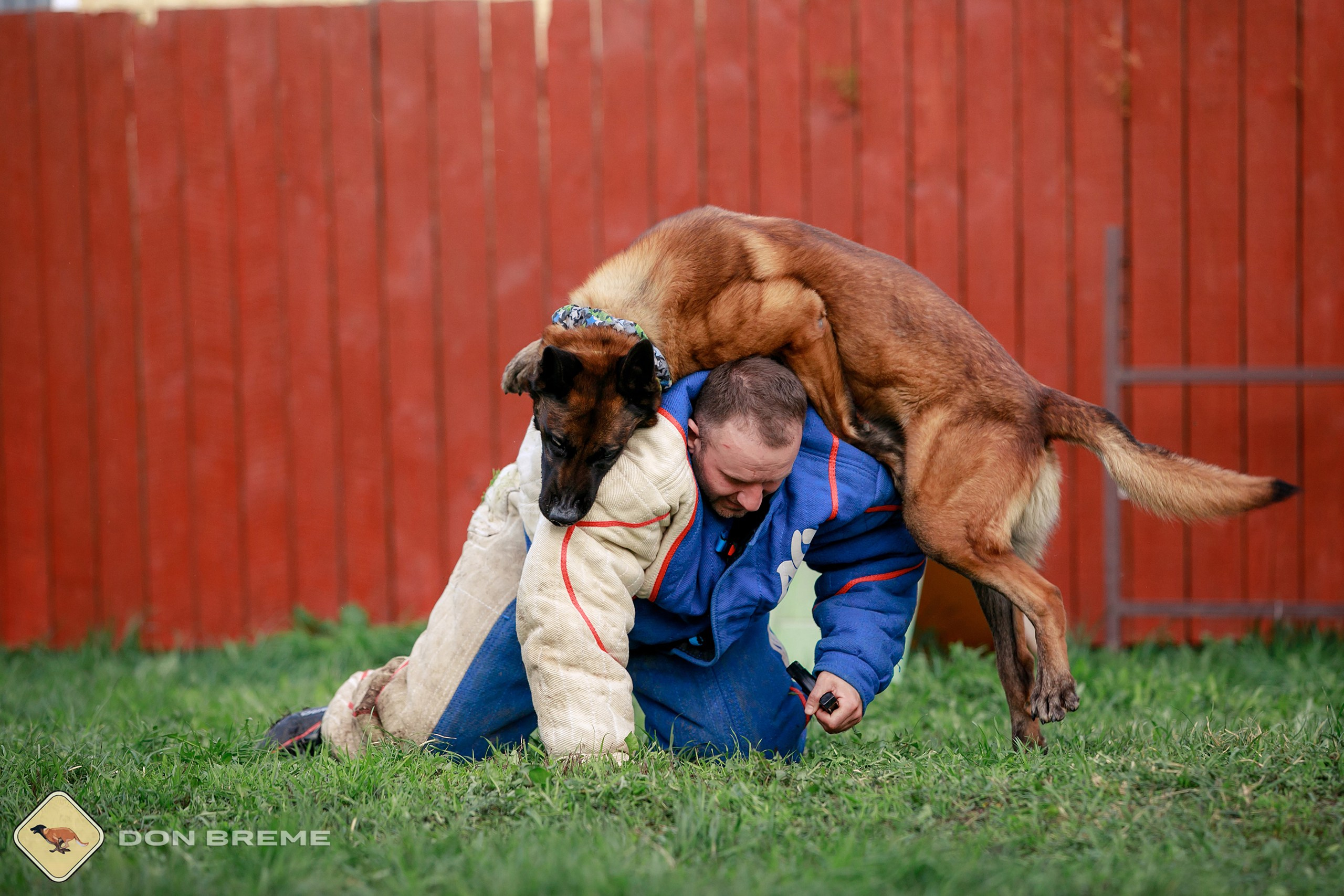 Семинар для фигурантов, день 2. Фотограф-анималист Mary Mart — Москва, Питер