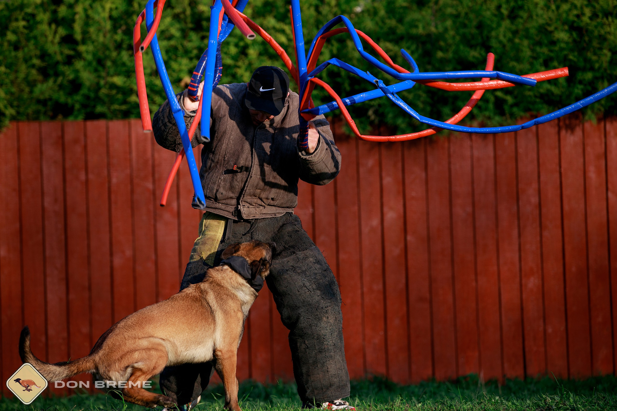 Семинар для фигурантов, день 4. Фотограф-анималист Mary Mart — Москва, Питер