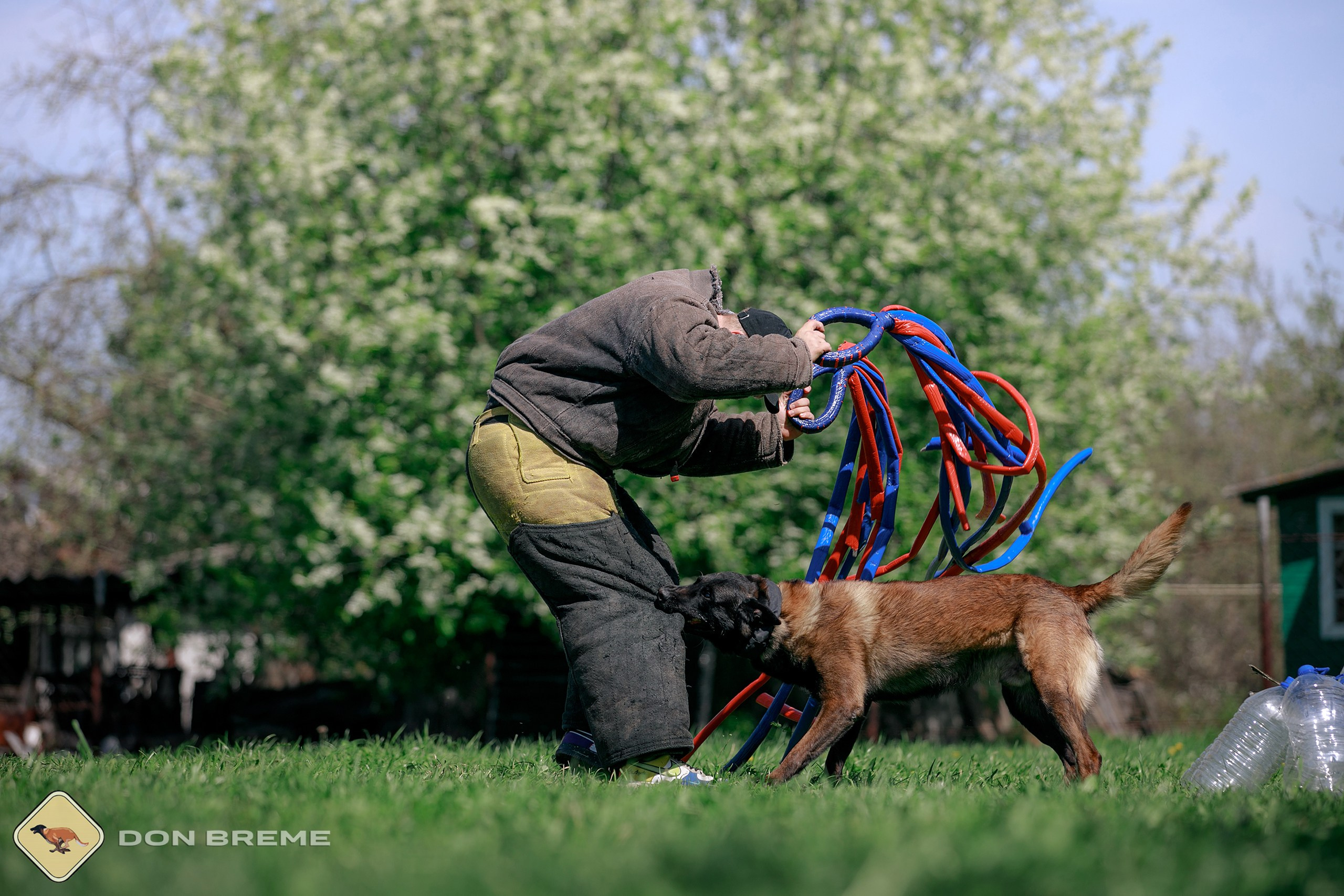 Семинар для фигурантов, день 4. Фотограф-анималист Mary Mart — Москва, Питер