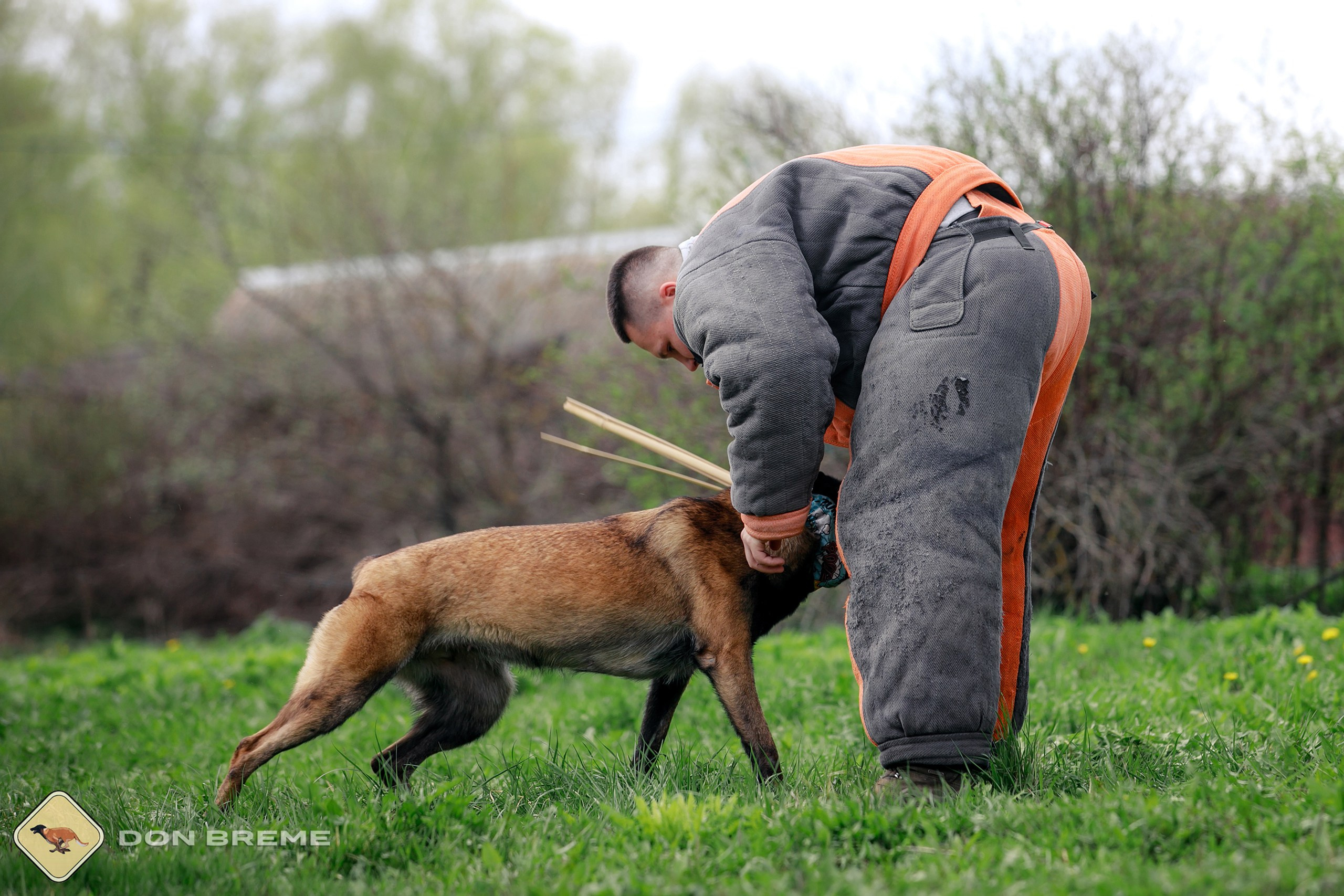 Семинар для фигурантов, день 2. Фотограф-анималист Mary Mart — Москва, Питер