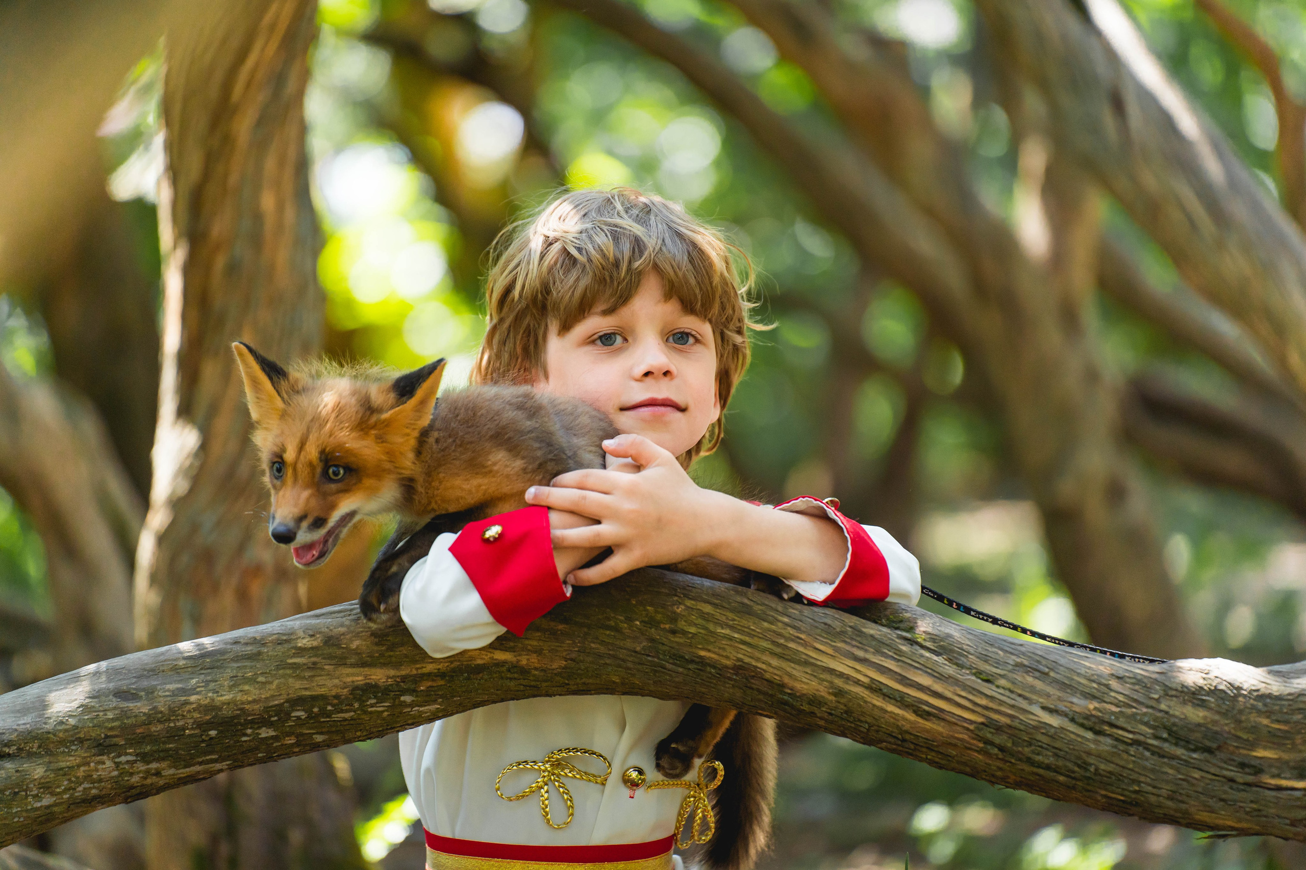 Маленький Принц. Фотограф в Москве Ленарская Дарья