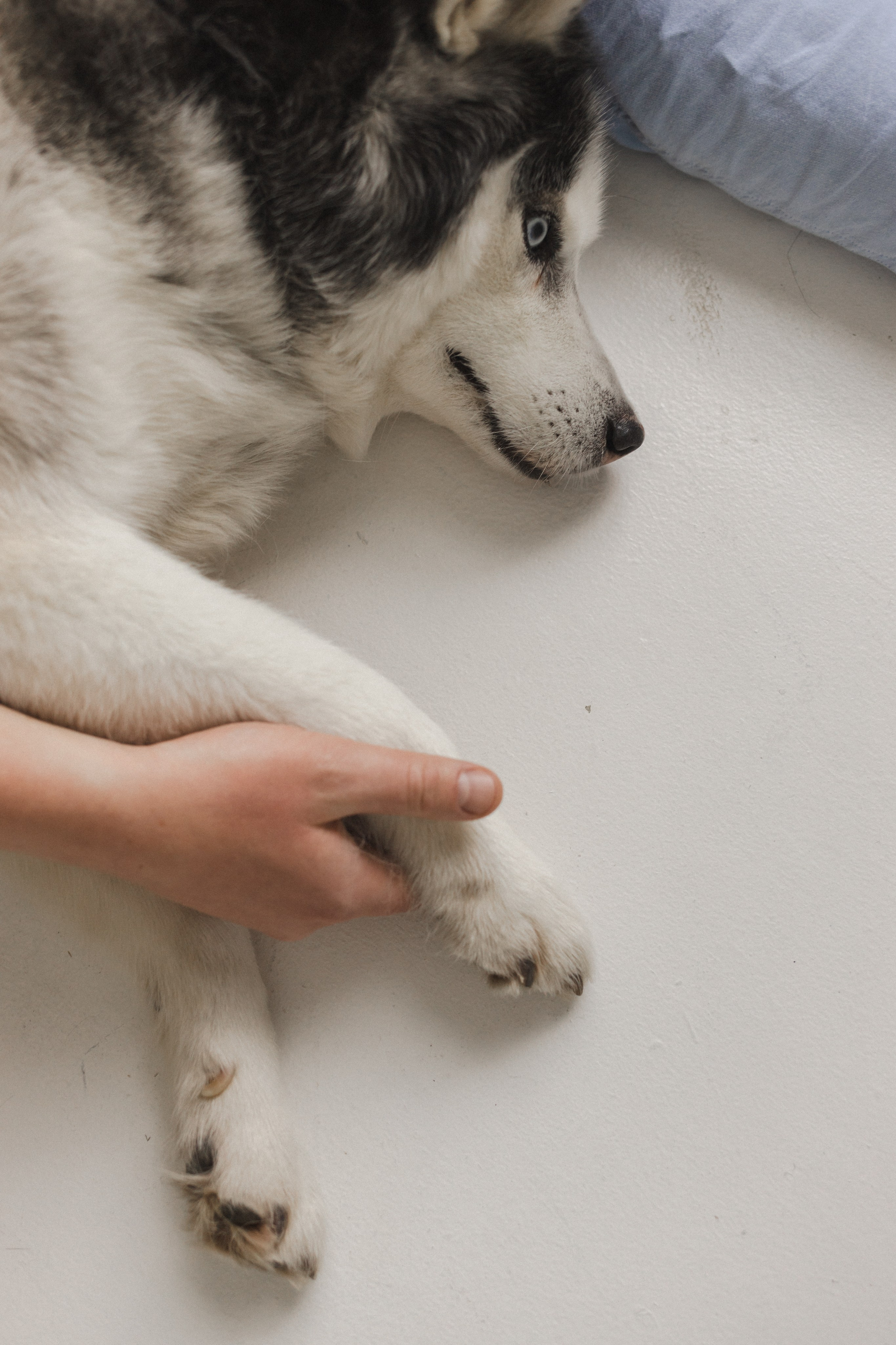 История семьи. Семейный фотограф в Москве