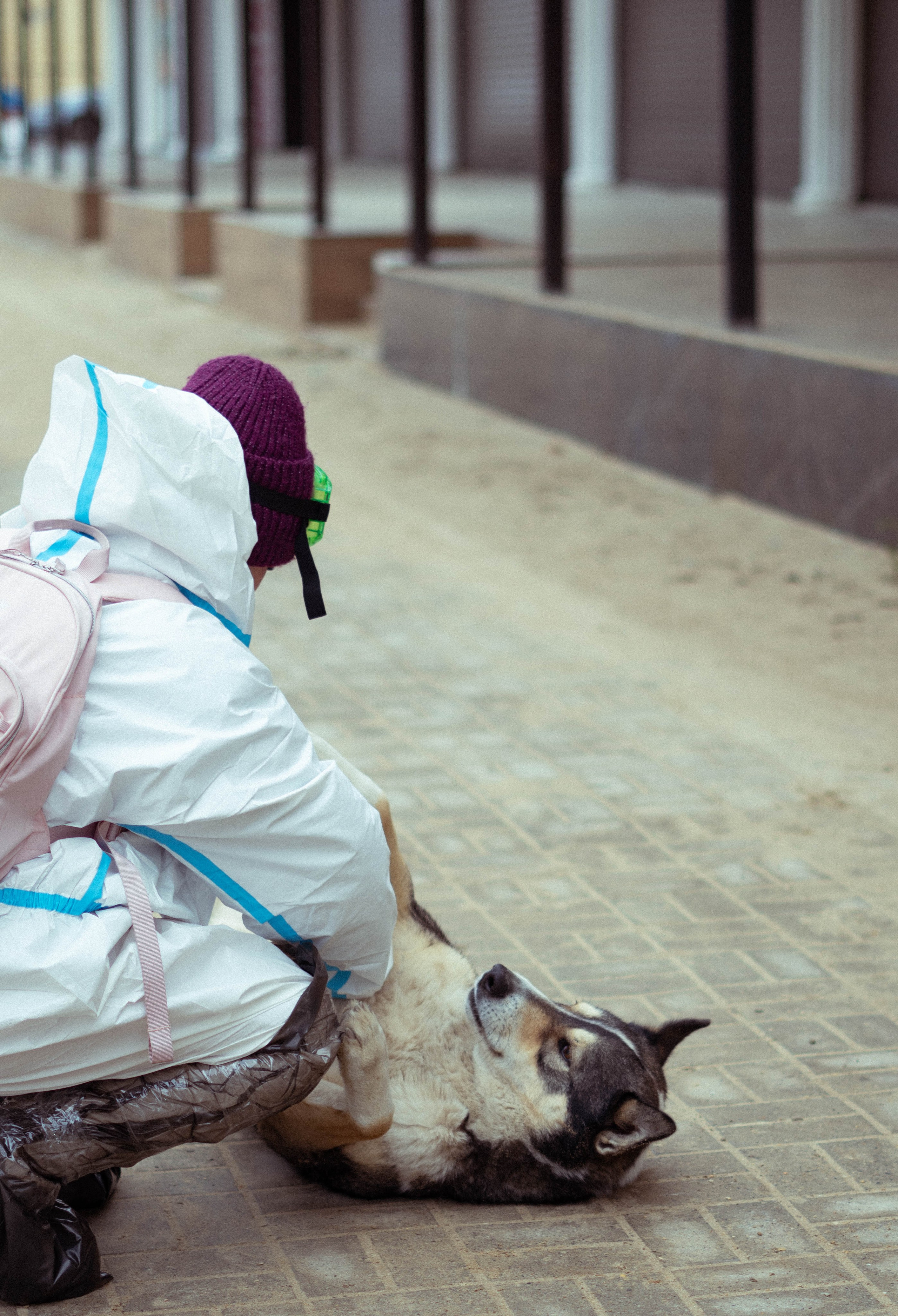 Разлив мазута в Керченском проливе. Фотограф Тбилиси / Photographer Tbilisi