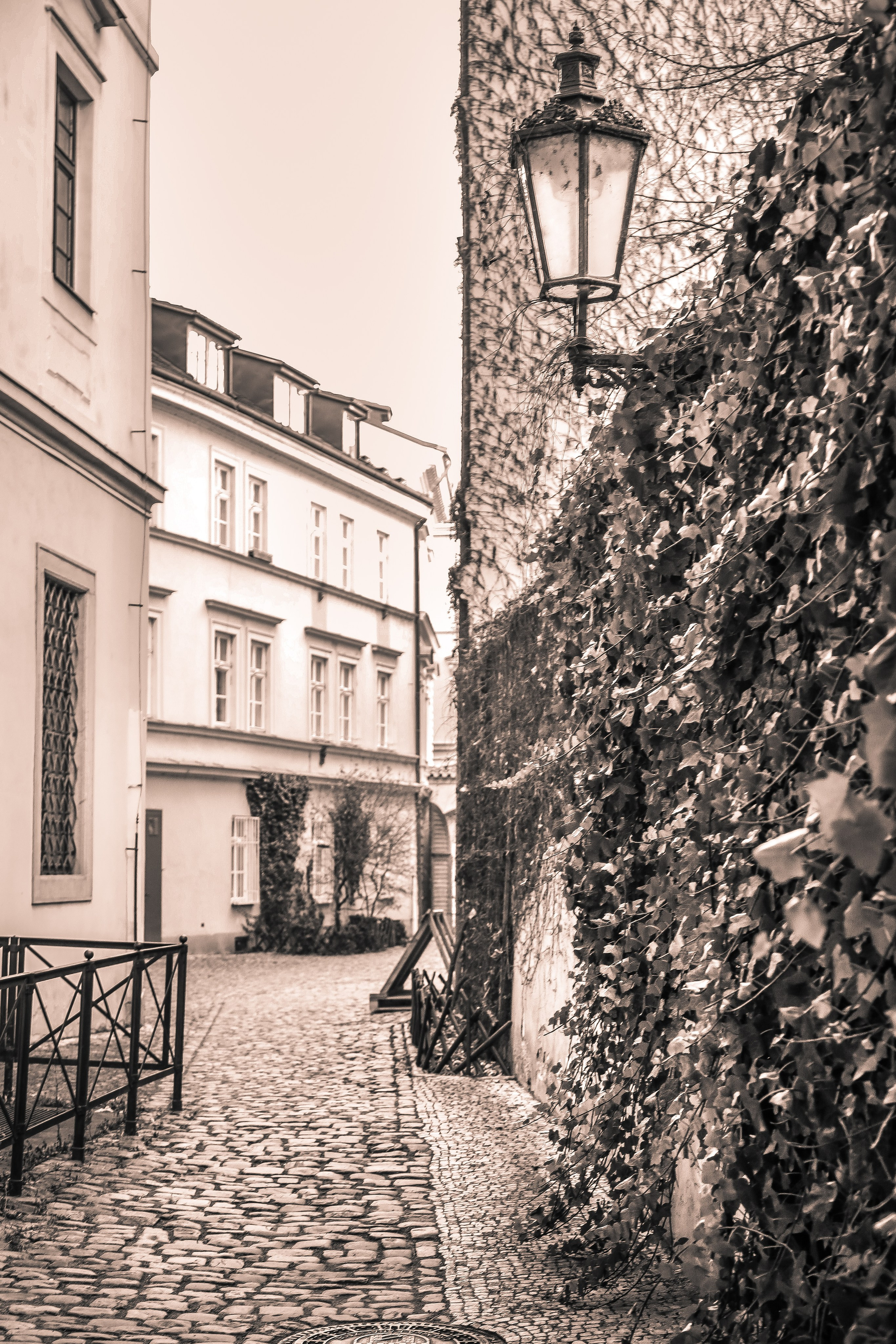 Чехия: Прага. Дарья Письменюк / Darya Leitstern — фотограф, музыкант, журналист, путешественник