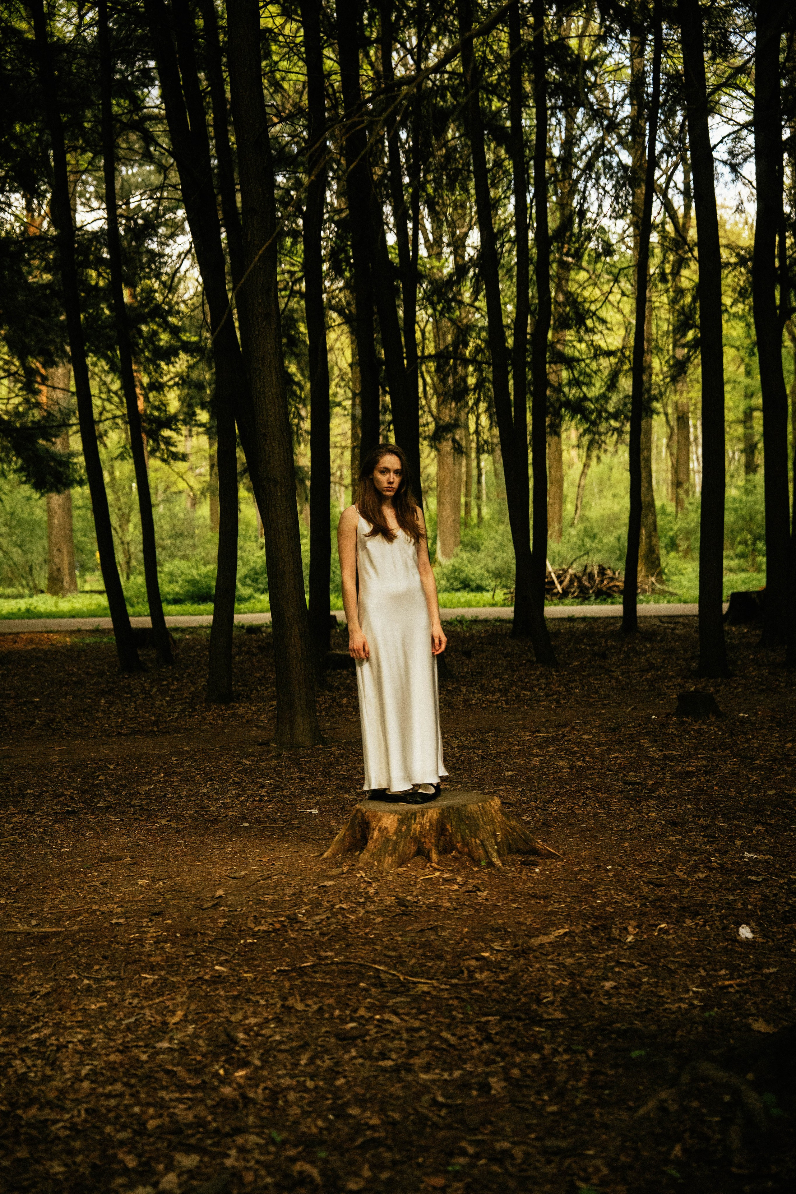 Галерея. Beardy Pix