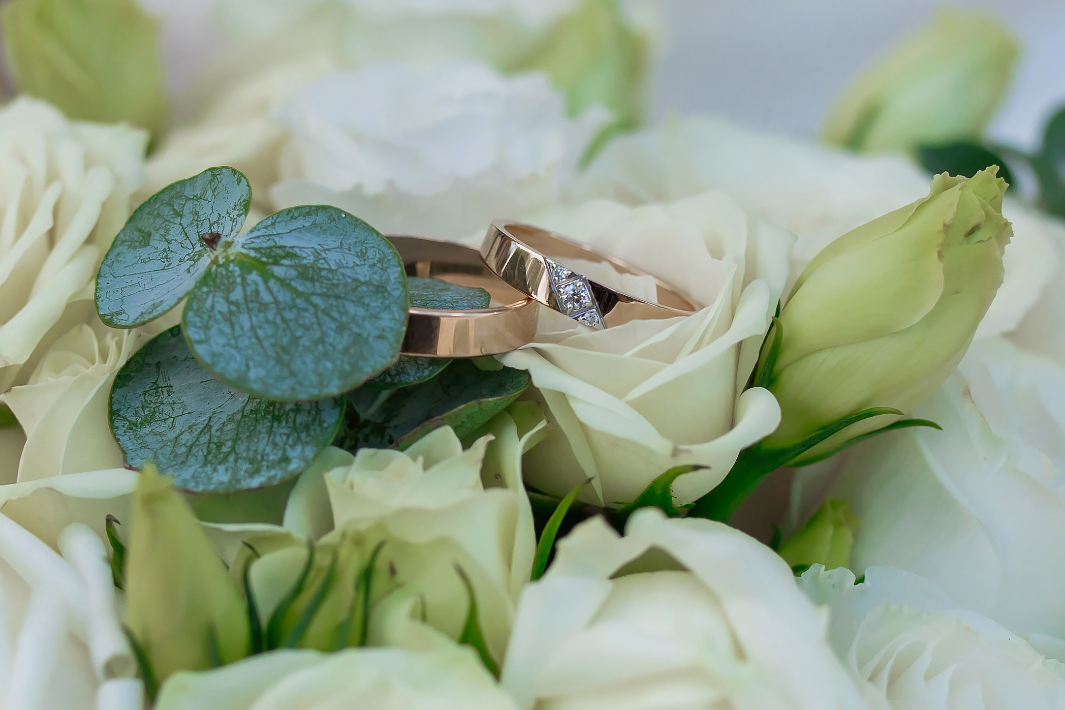 Свадьбы. Главная