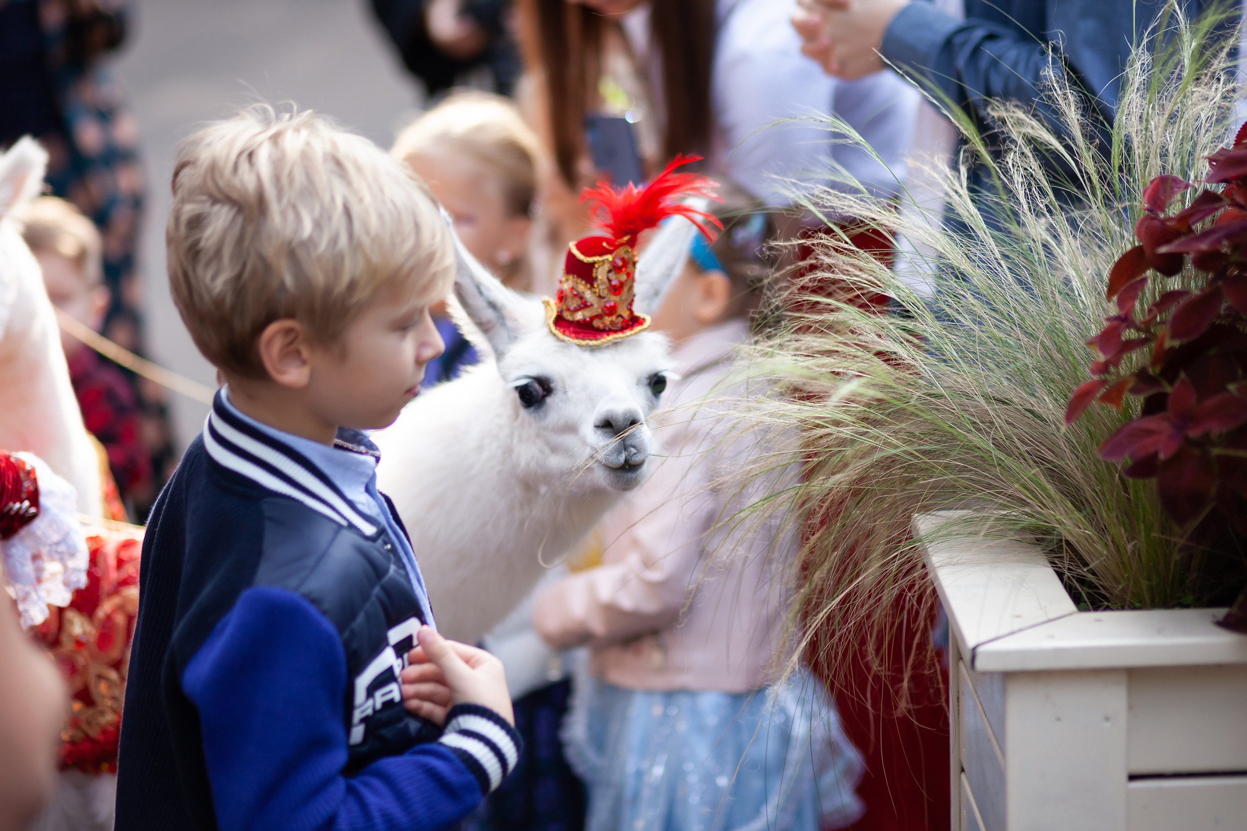 Дни рожения. Детский и семейный фотограф в Москве Вера Орлова