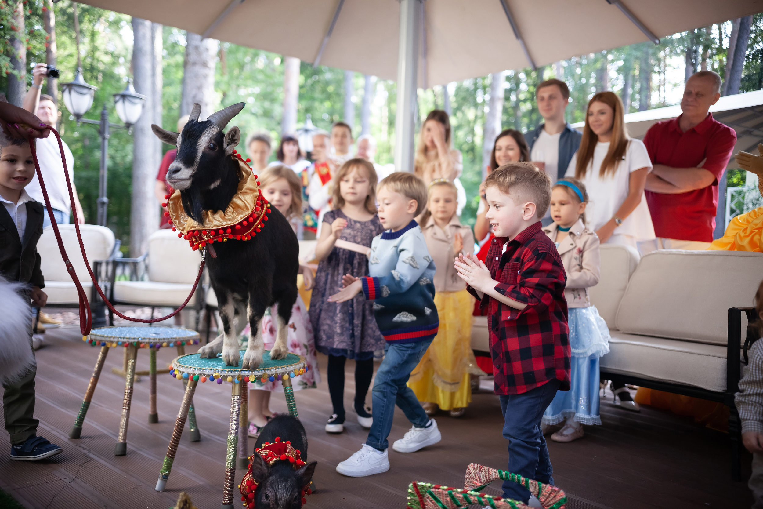 Дни рожения. Детский и семейный фотограф в Москве Вера Орлова